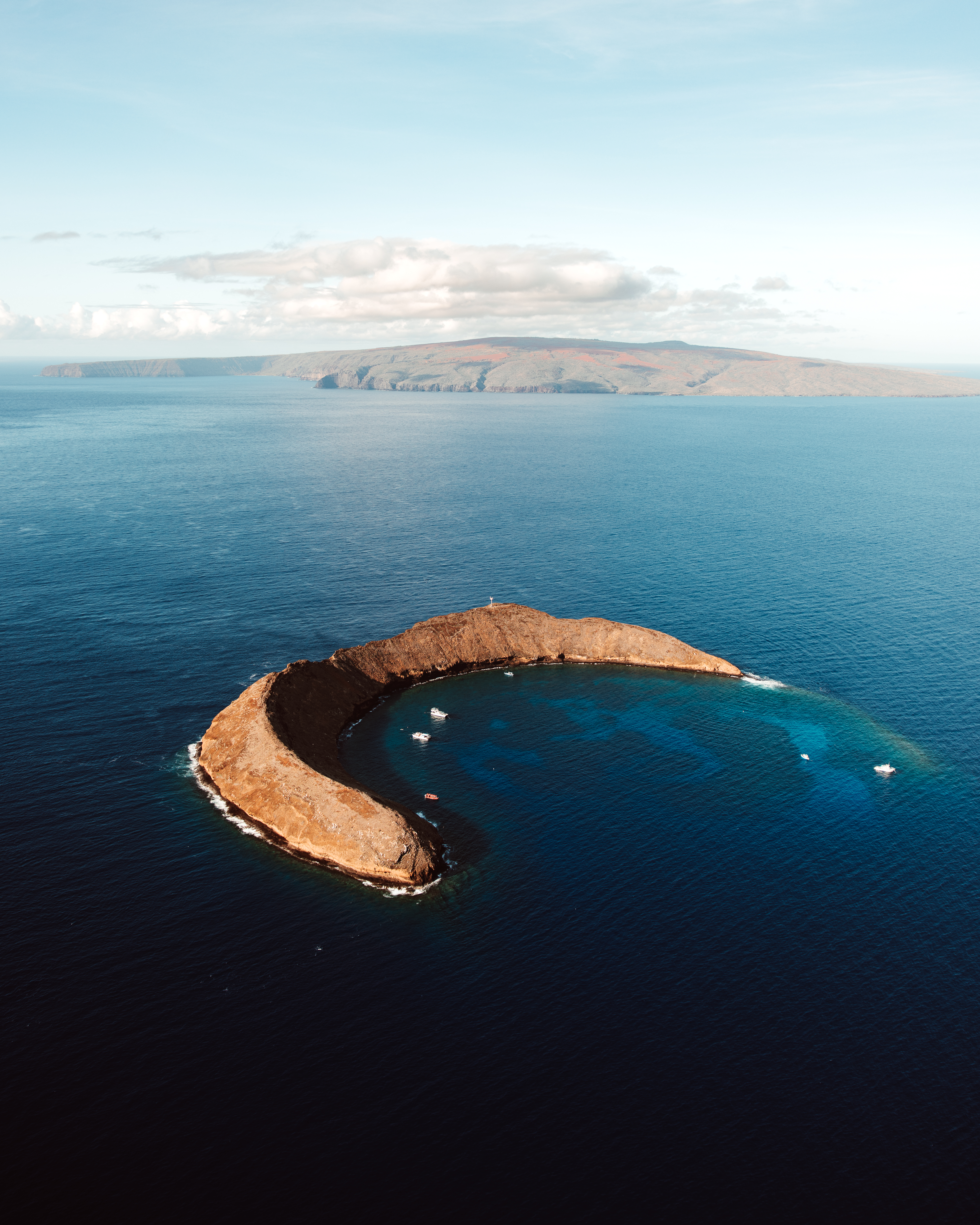 Cerulean I — Nettleton Road