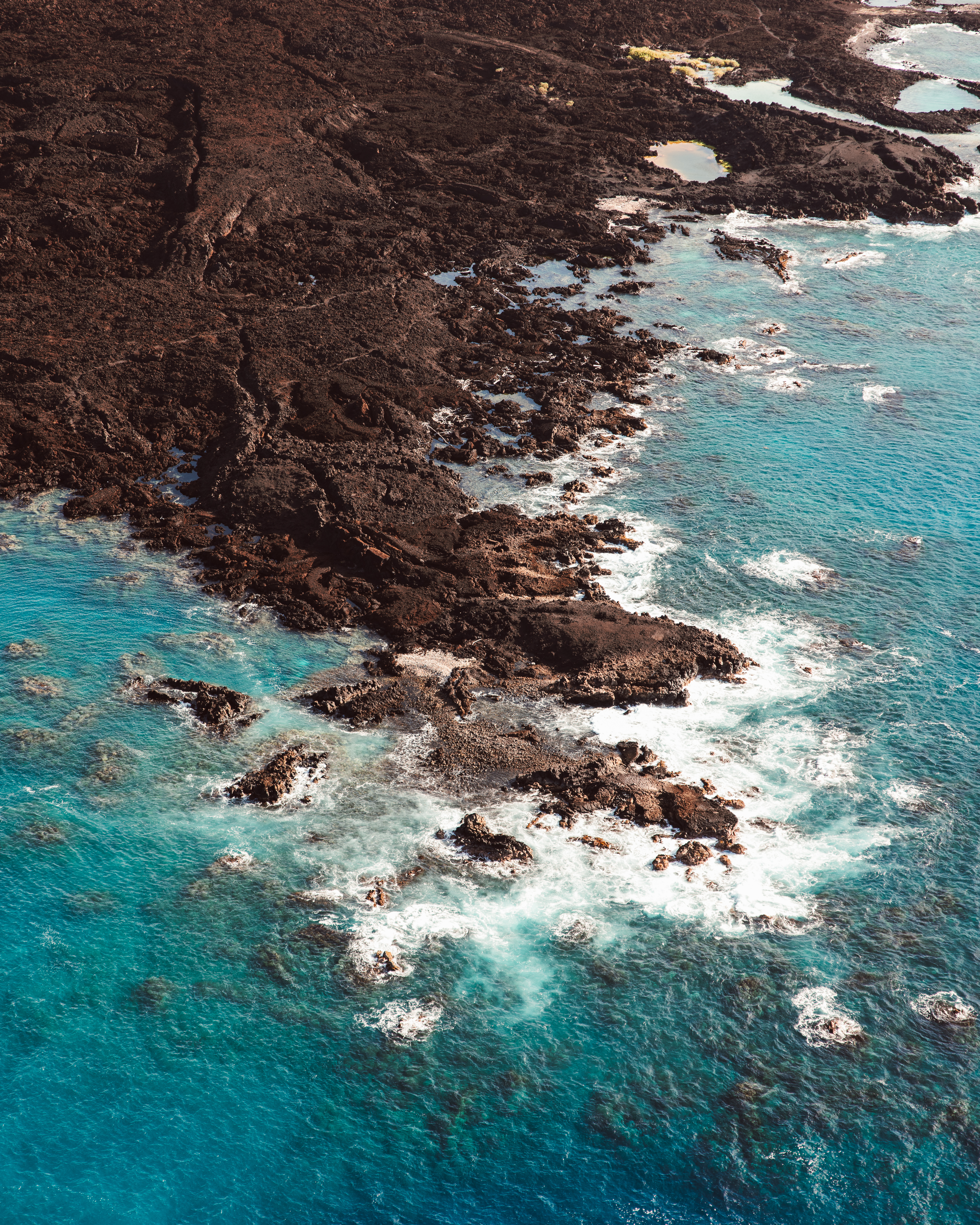 Cerulean III — Nettleton Road