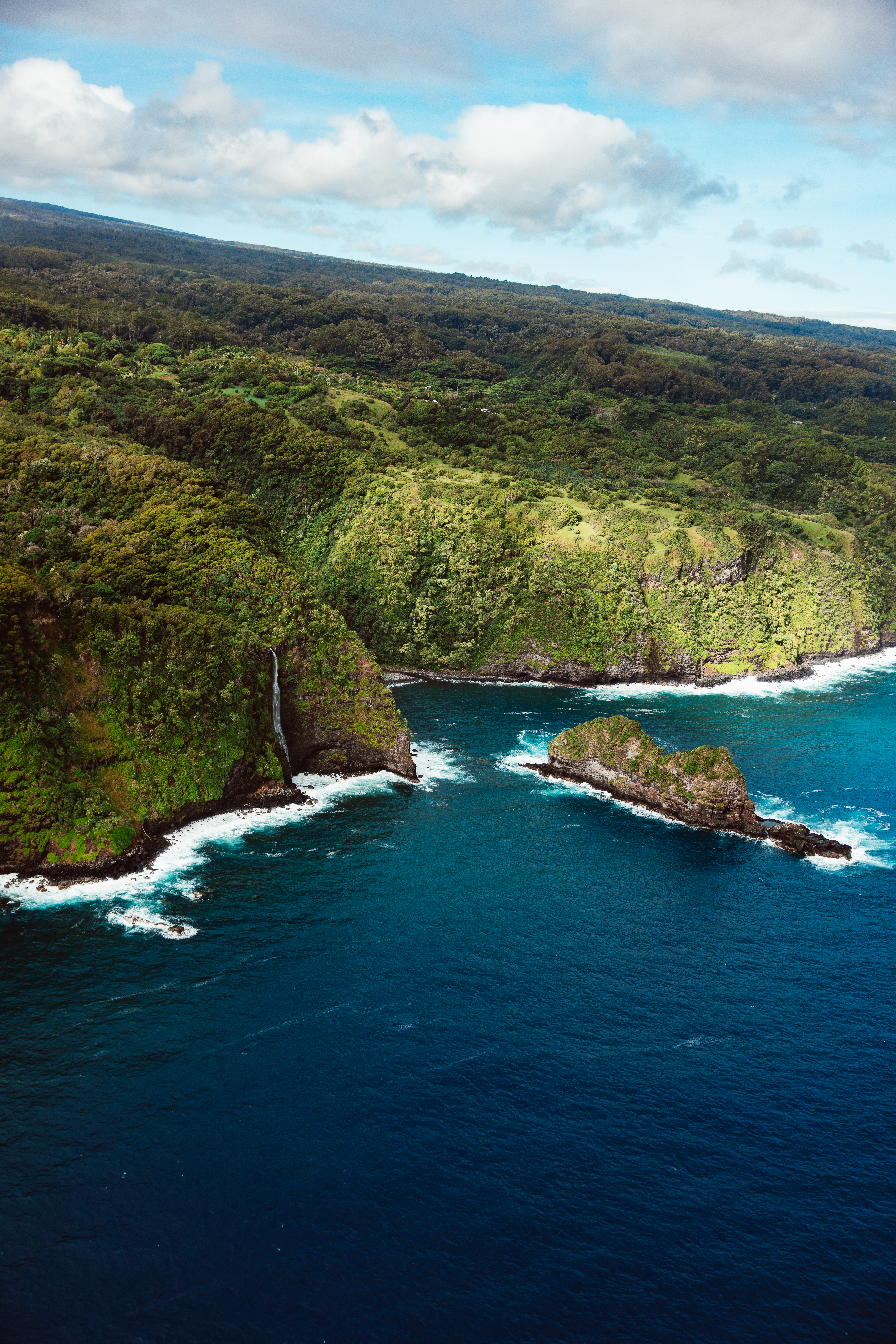 Cerulean IV — Nettleton Road