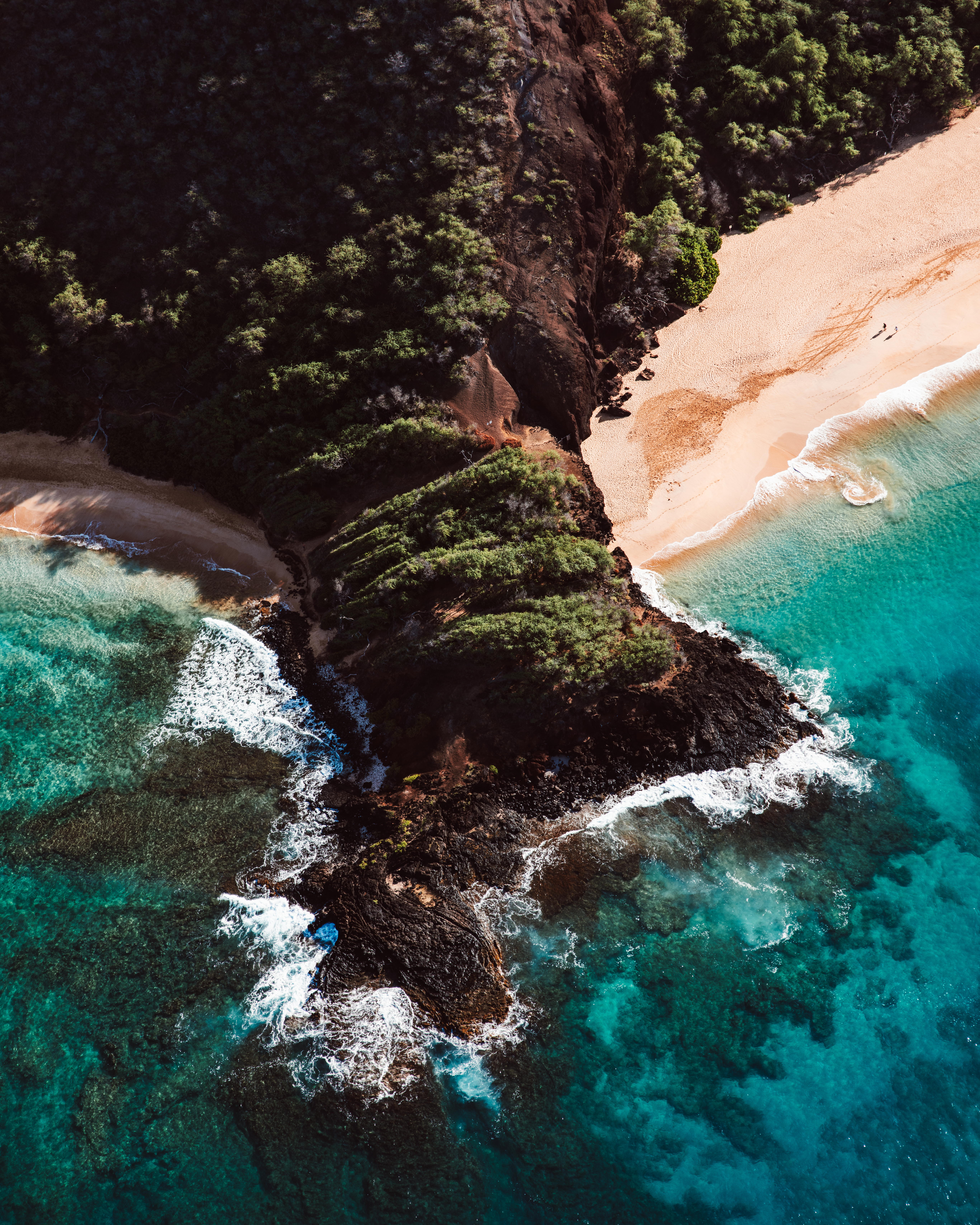 Charcoal I — Nettleton Road