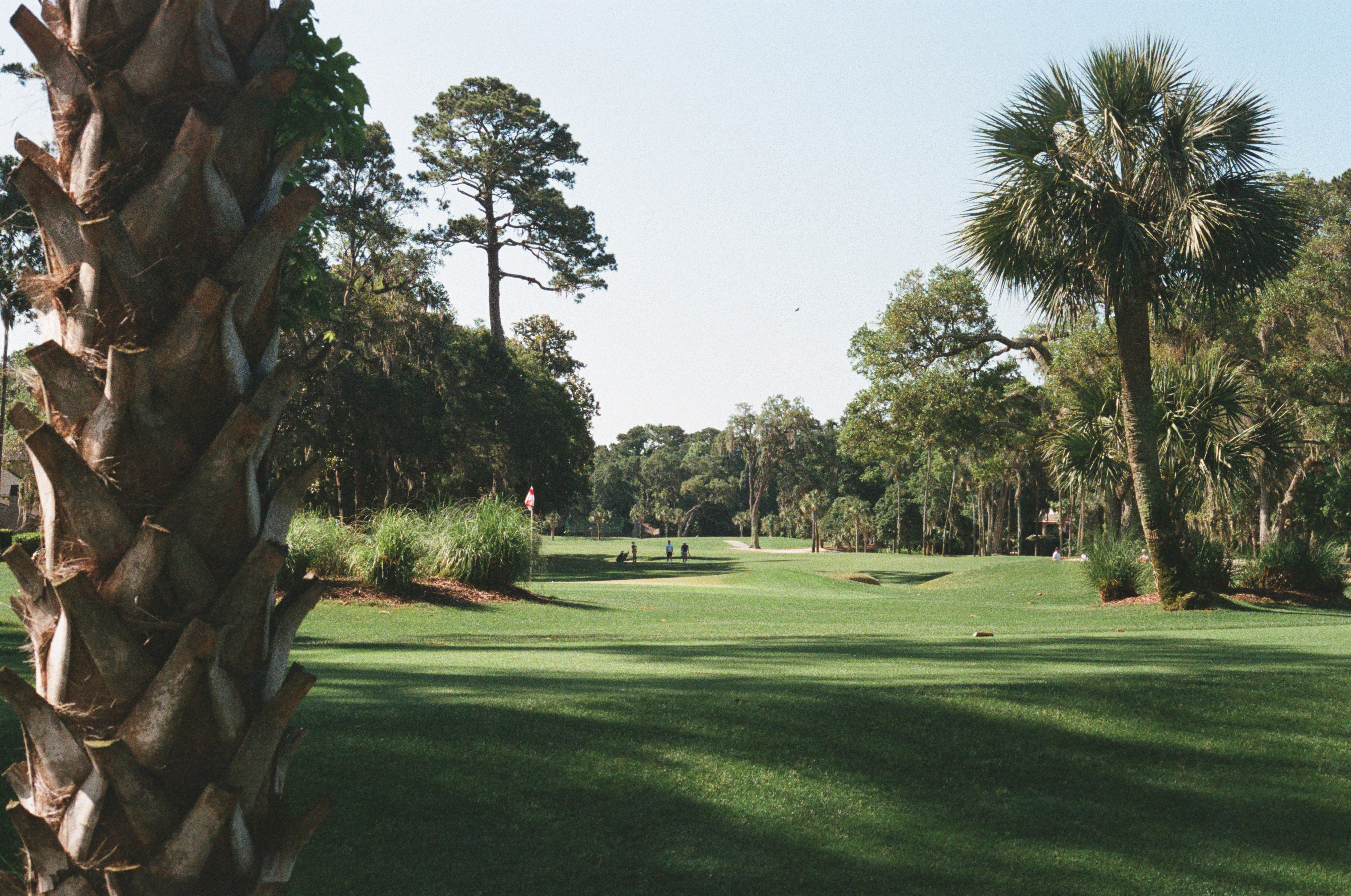 Charcoal II — Nettleton Road