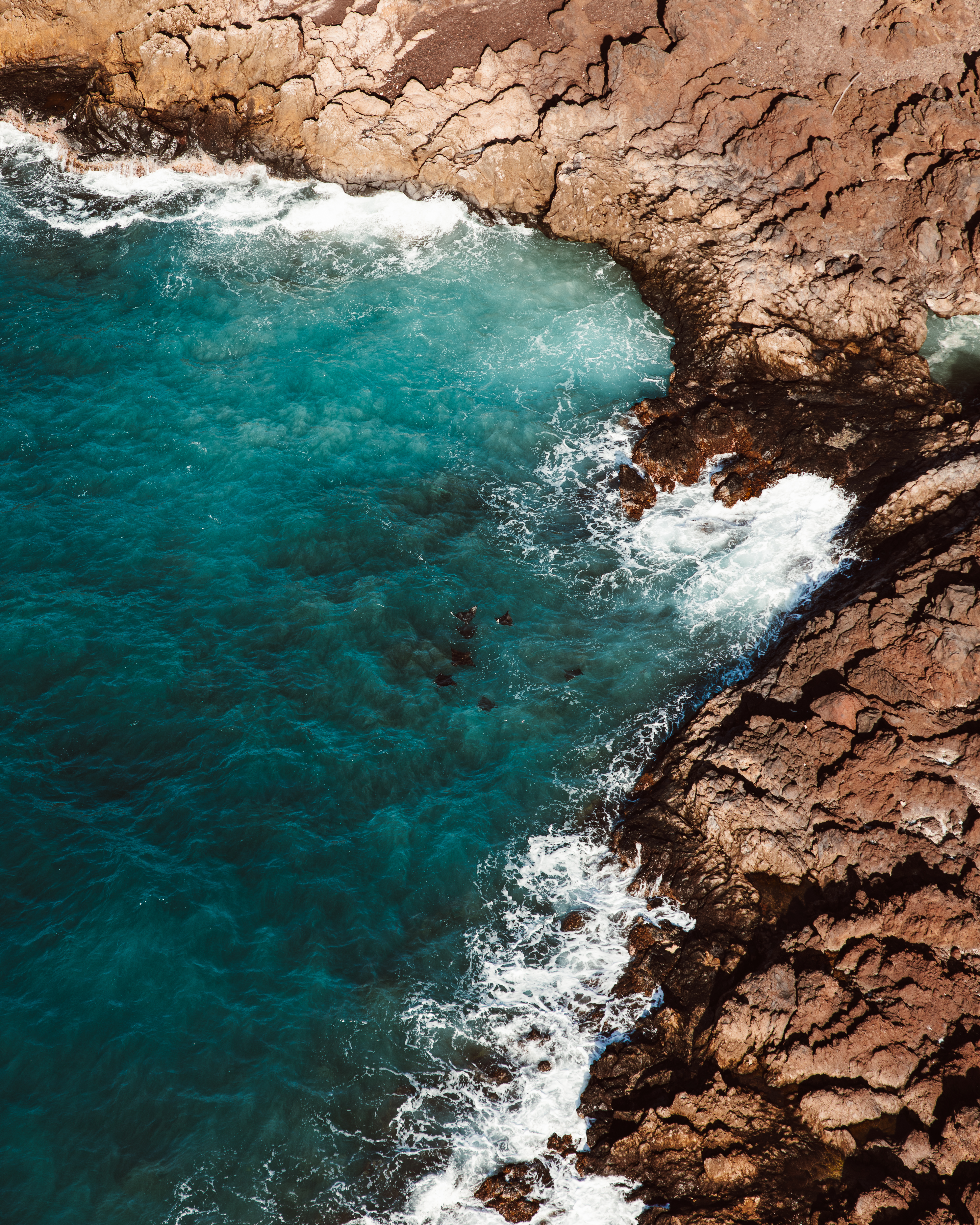 Charcoal II — Nettleton Road