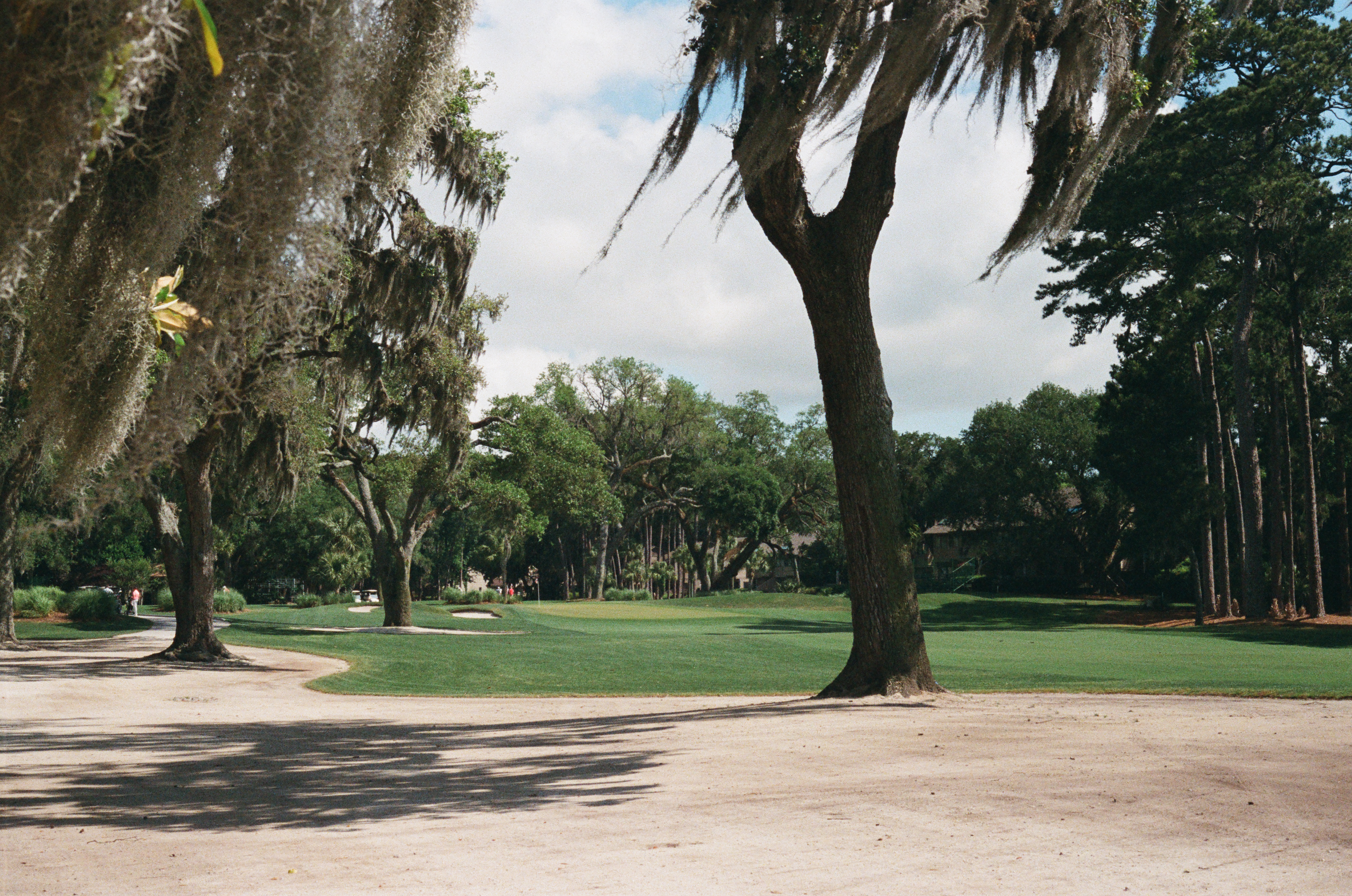 Charcoal III — Nettleton Road