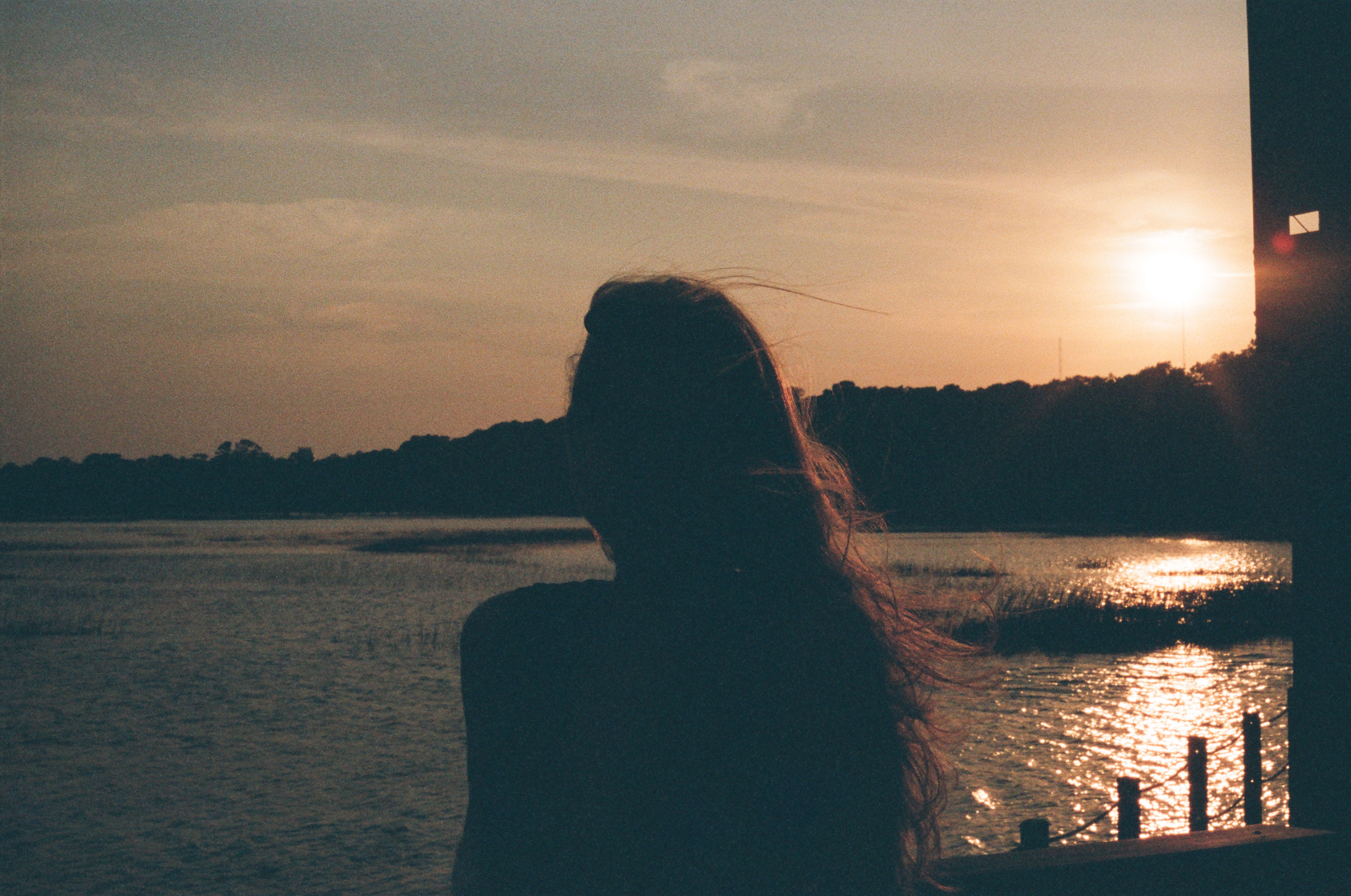 Charcoal IV — Nettleton Road