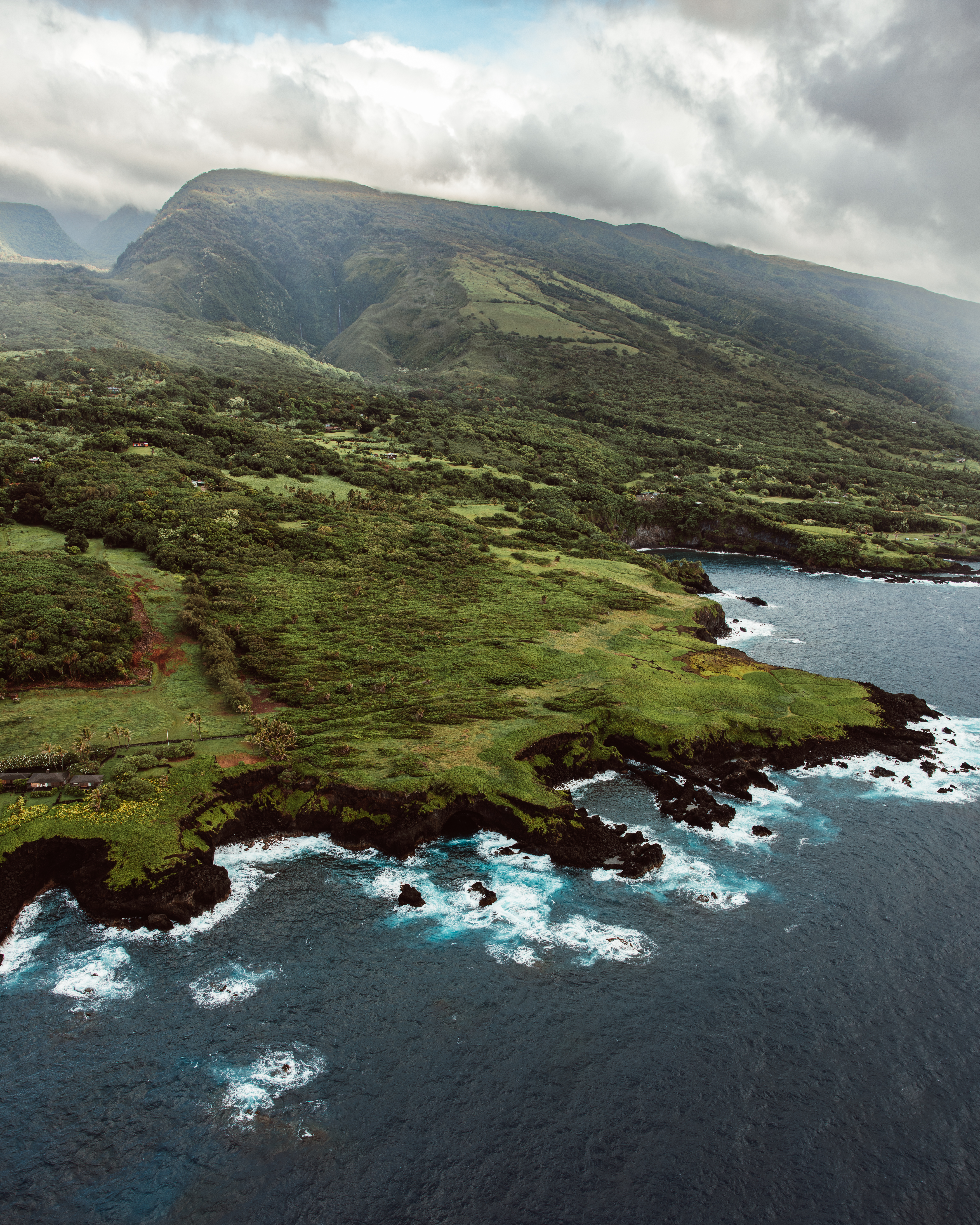 Charcoal IV — Nettleton Road