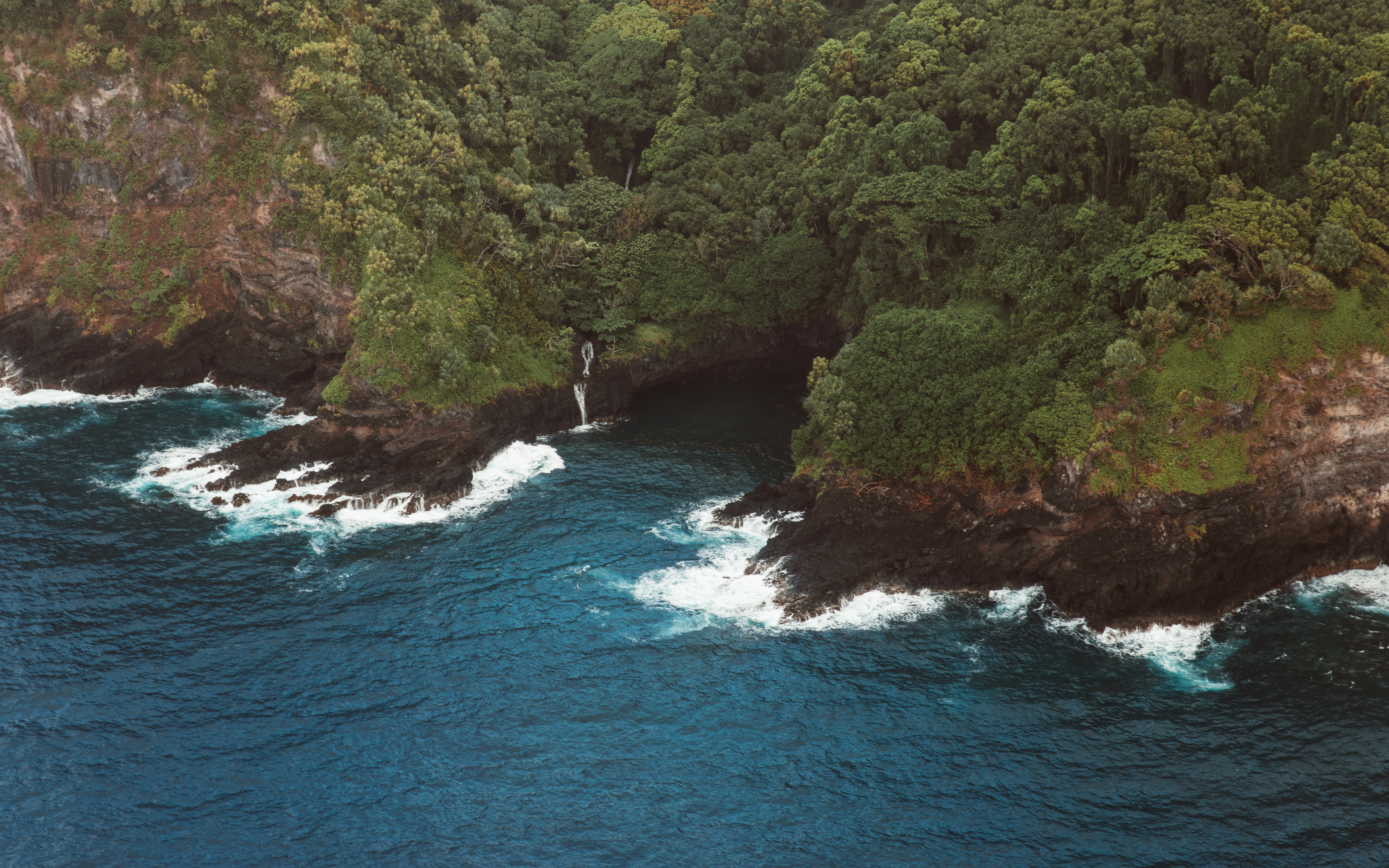 Charcoal V — Nettleton Road