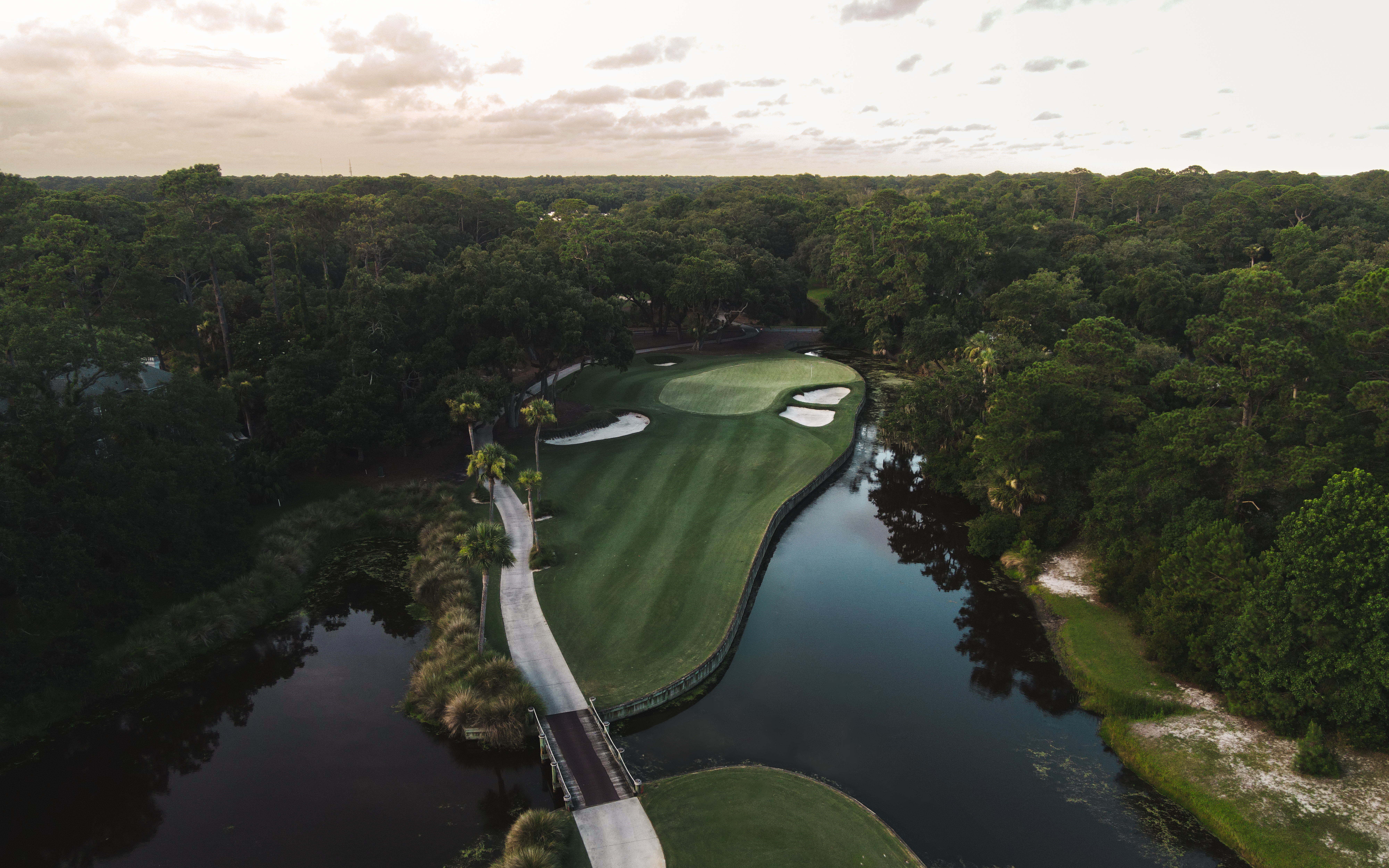 Charcoal VI — Nettleton Road