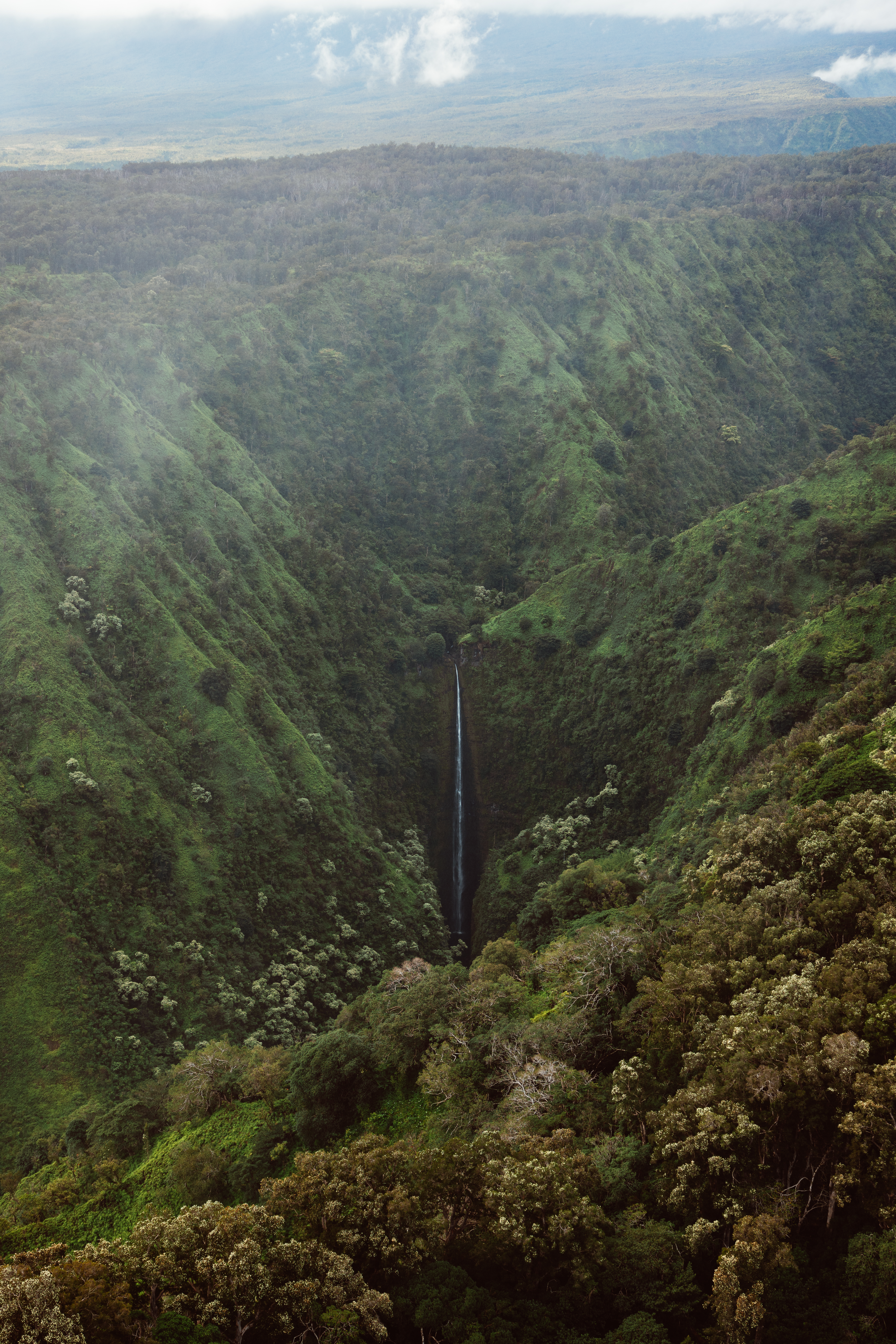 Charcoal VI — Nettleton Road