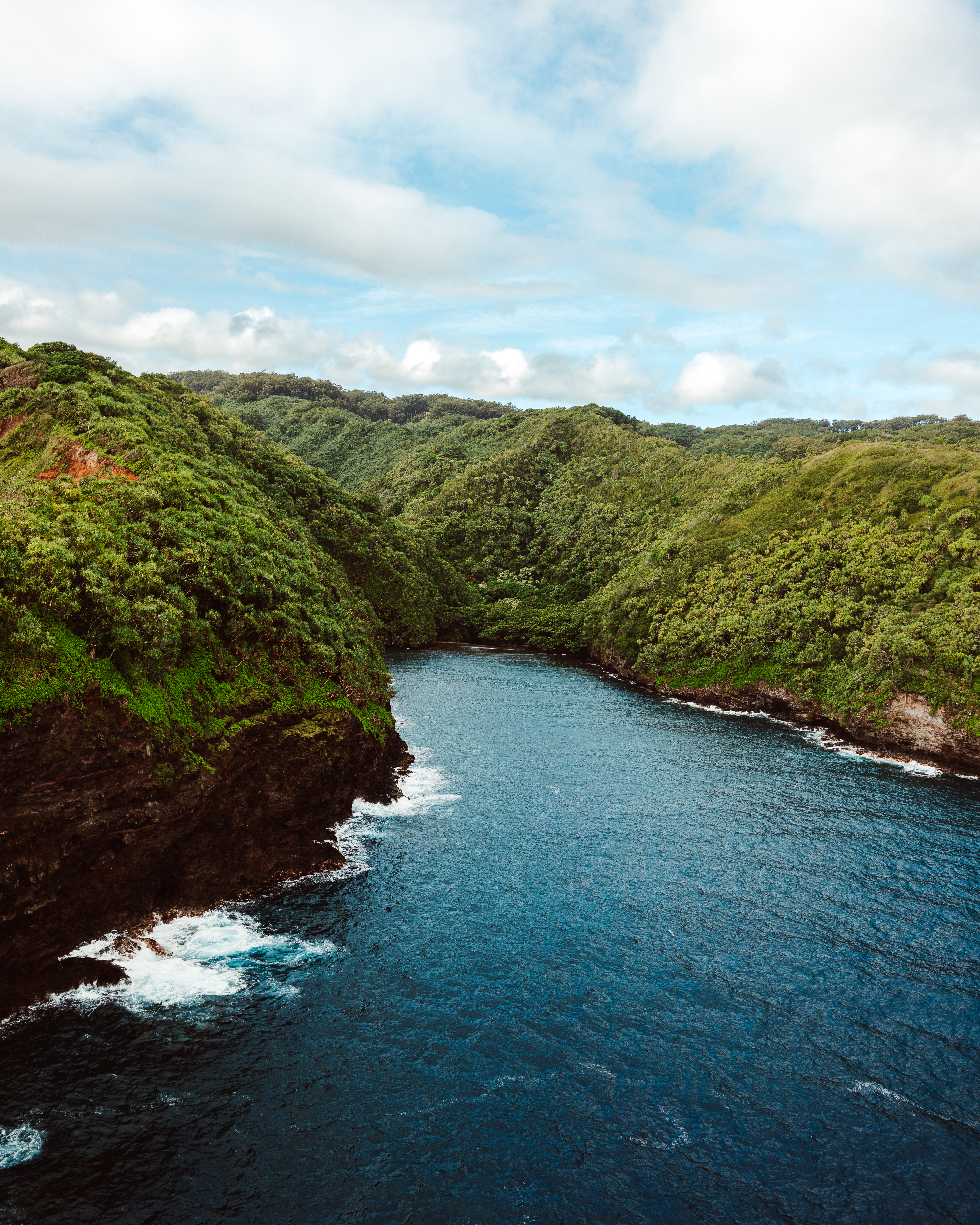 Charcoal XI — Nettleton Road