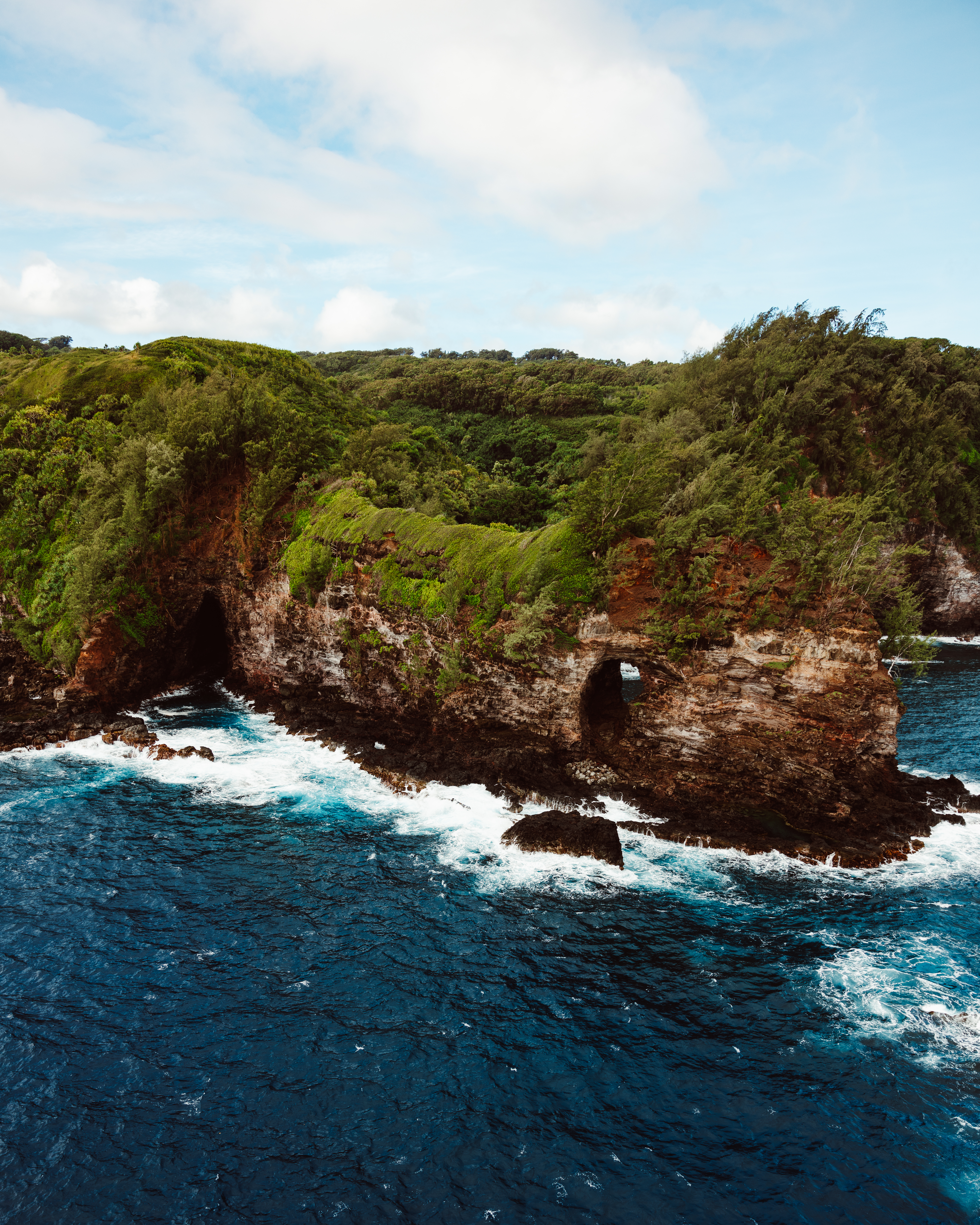 Charcoal XII — Nettleton Road