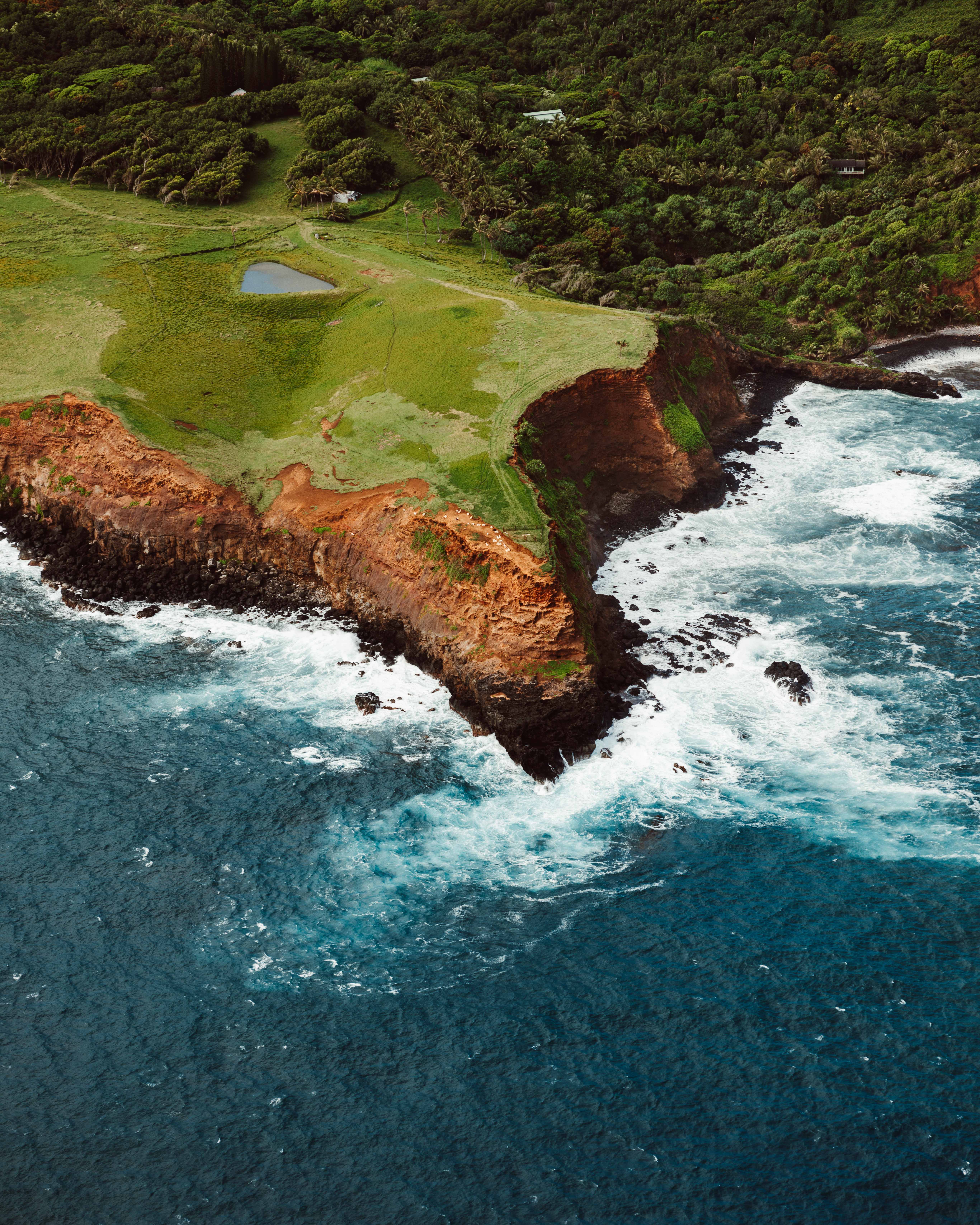 Charcoal XIII — Nettleton Road