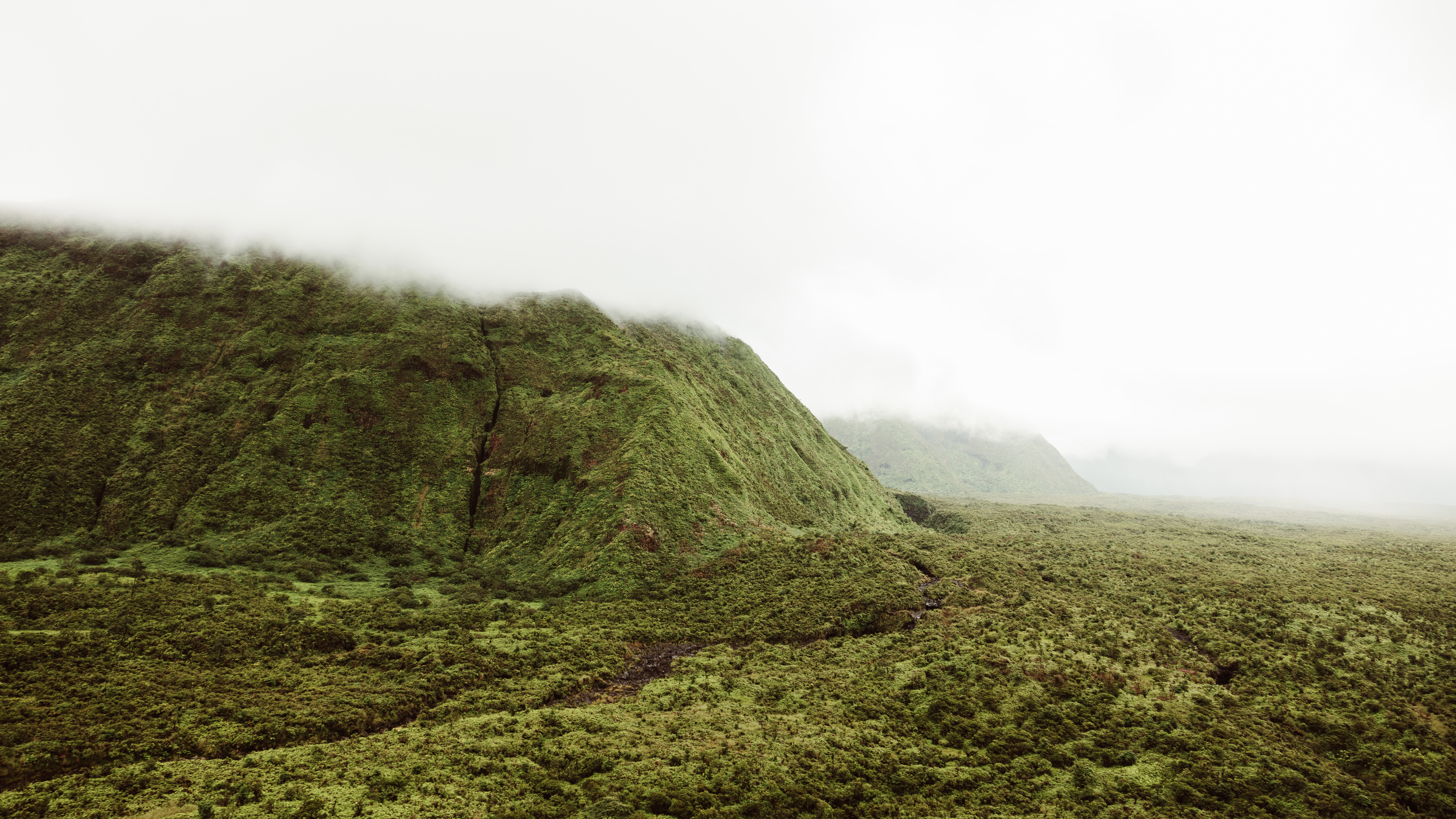 Chartreuse I — Nettleton Road