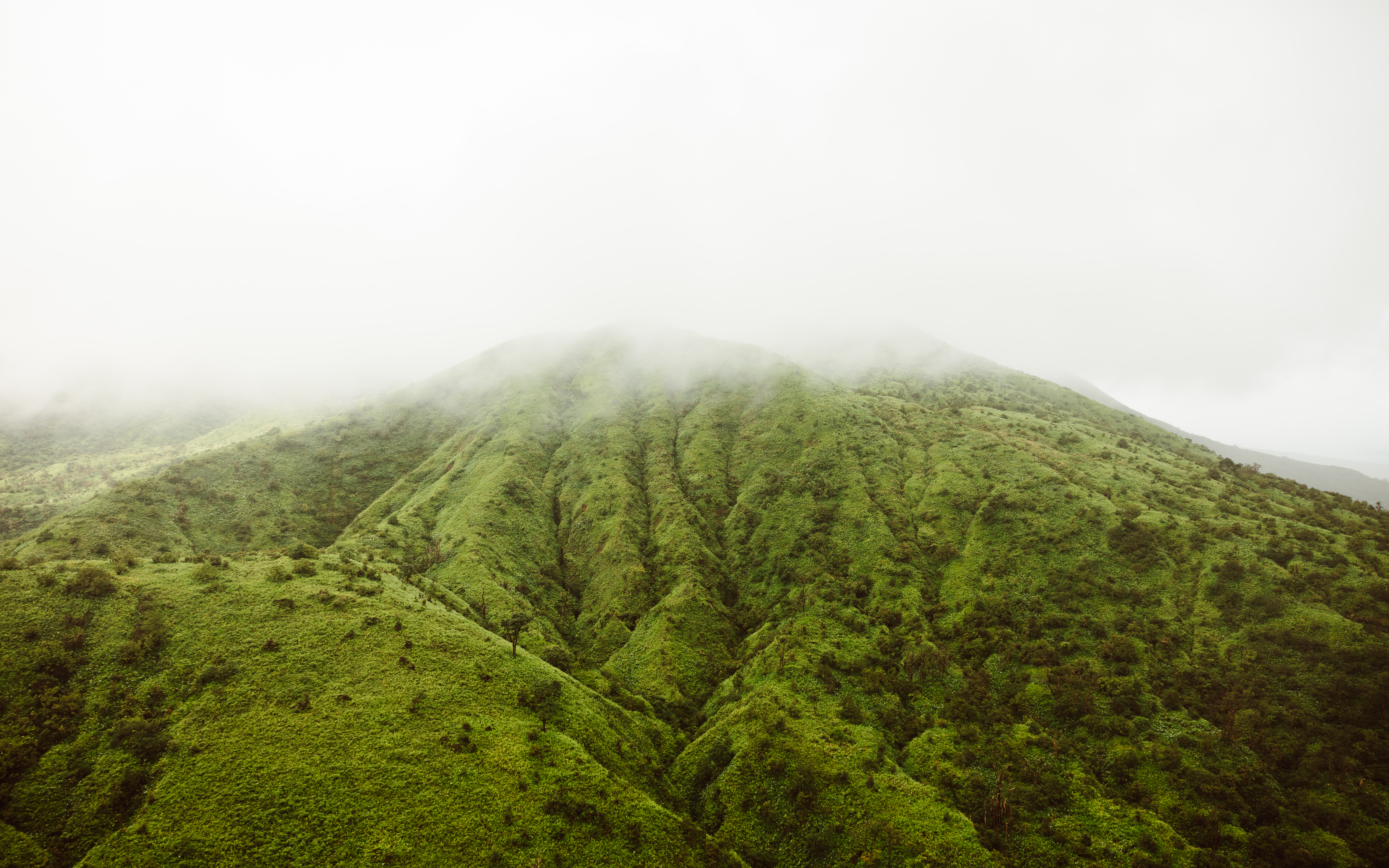 Chartreuse II — Nettleton Road