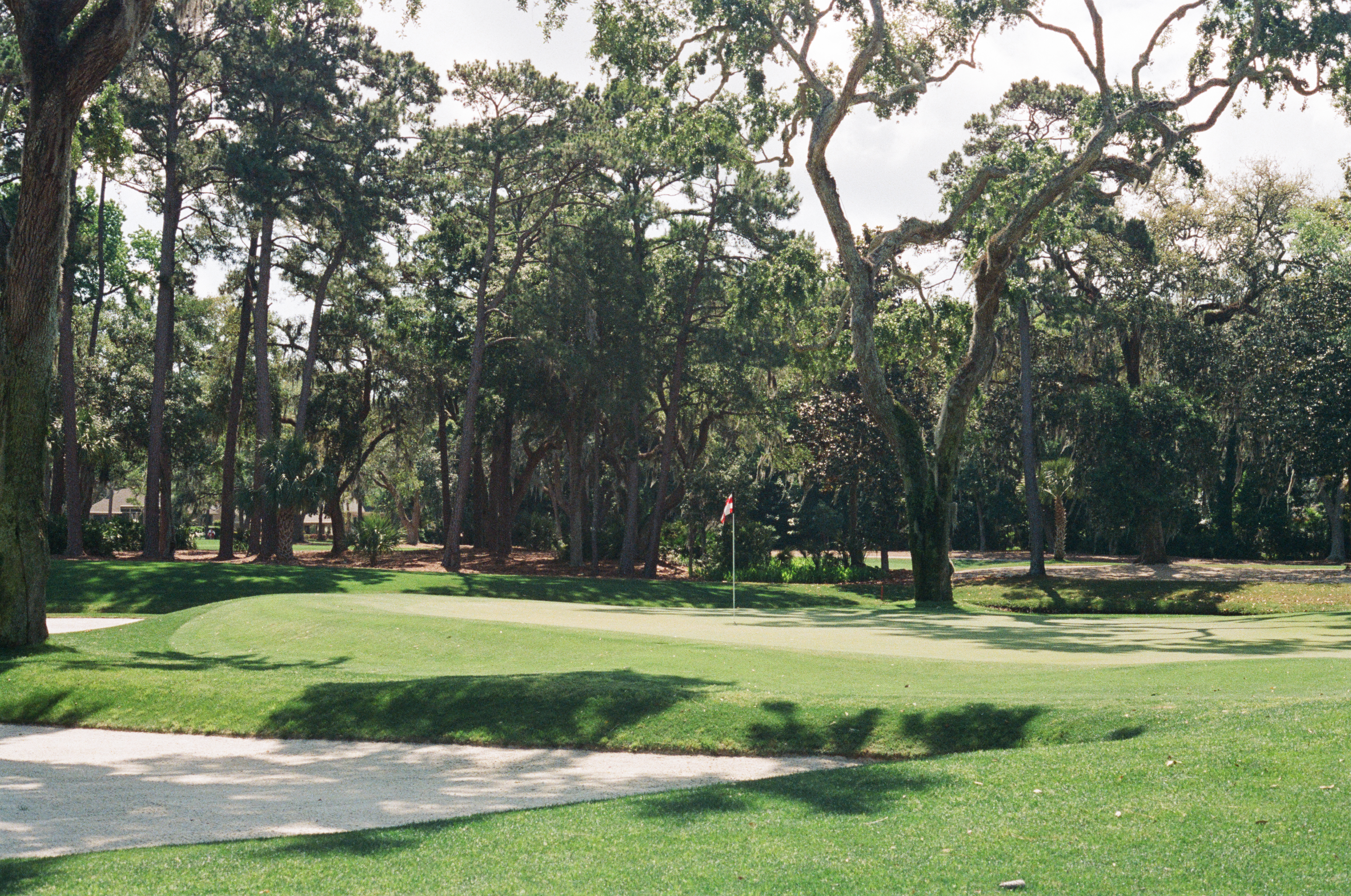 Forest I — Nettleton Road