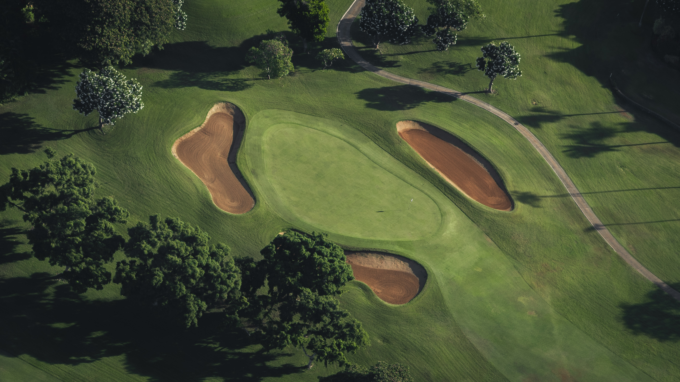 Forest I — Nettleton Road