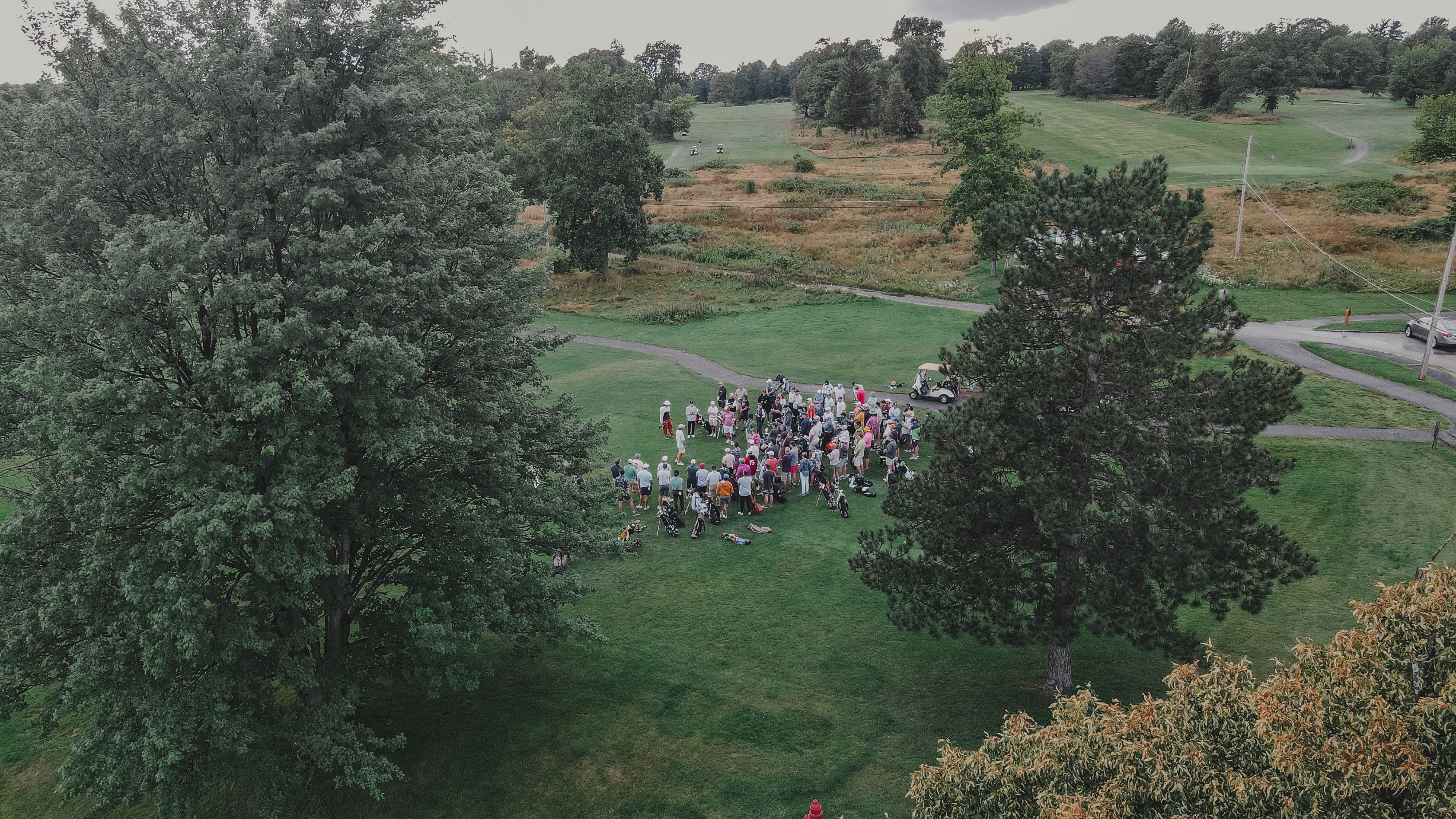 Forest II — Nettleton Road