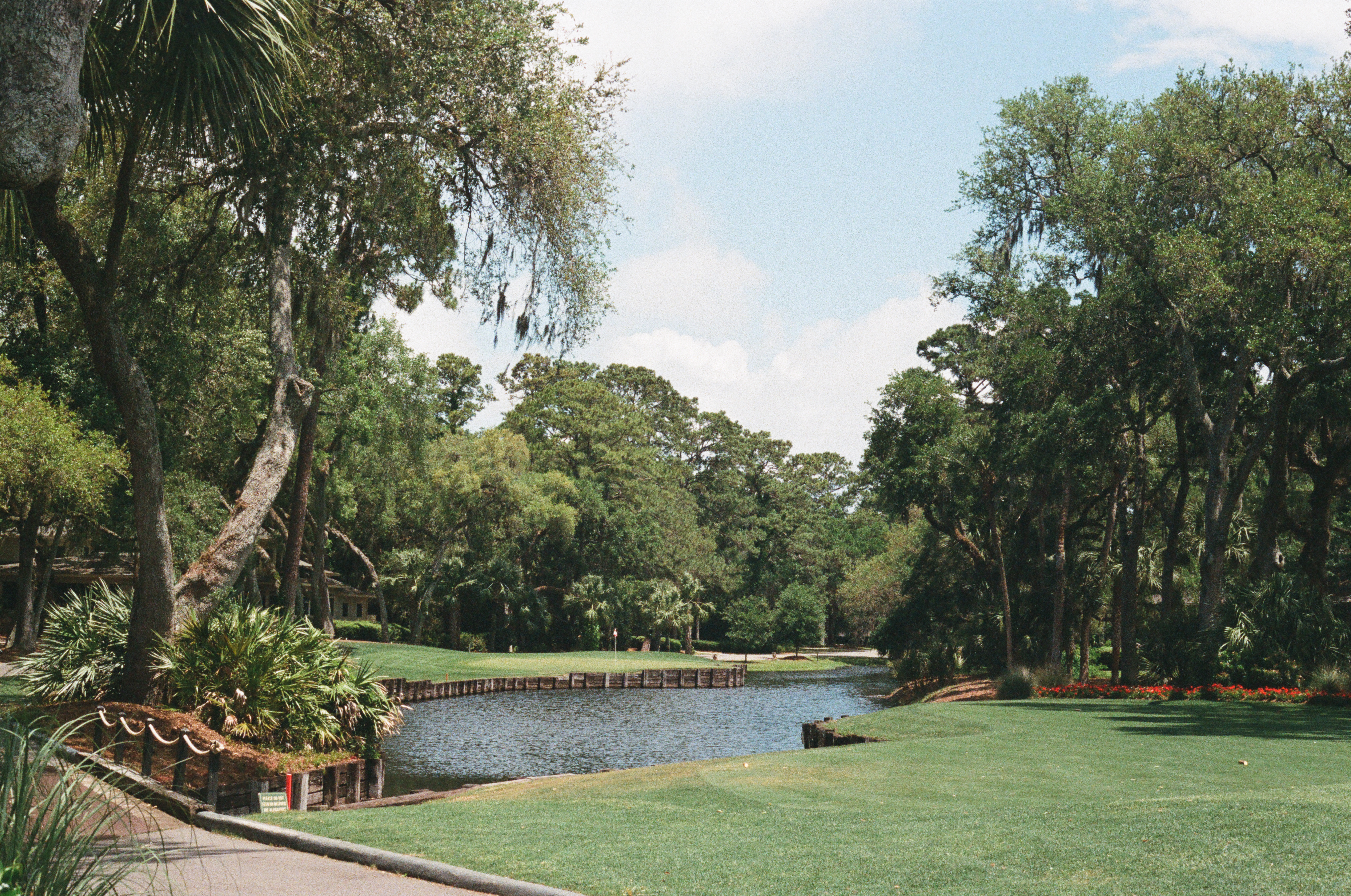 Forest II — Nettleton Road