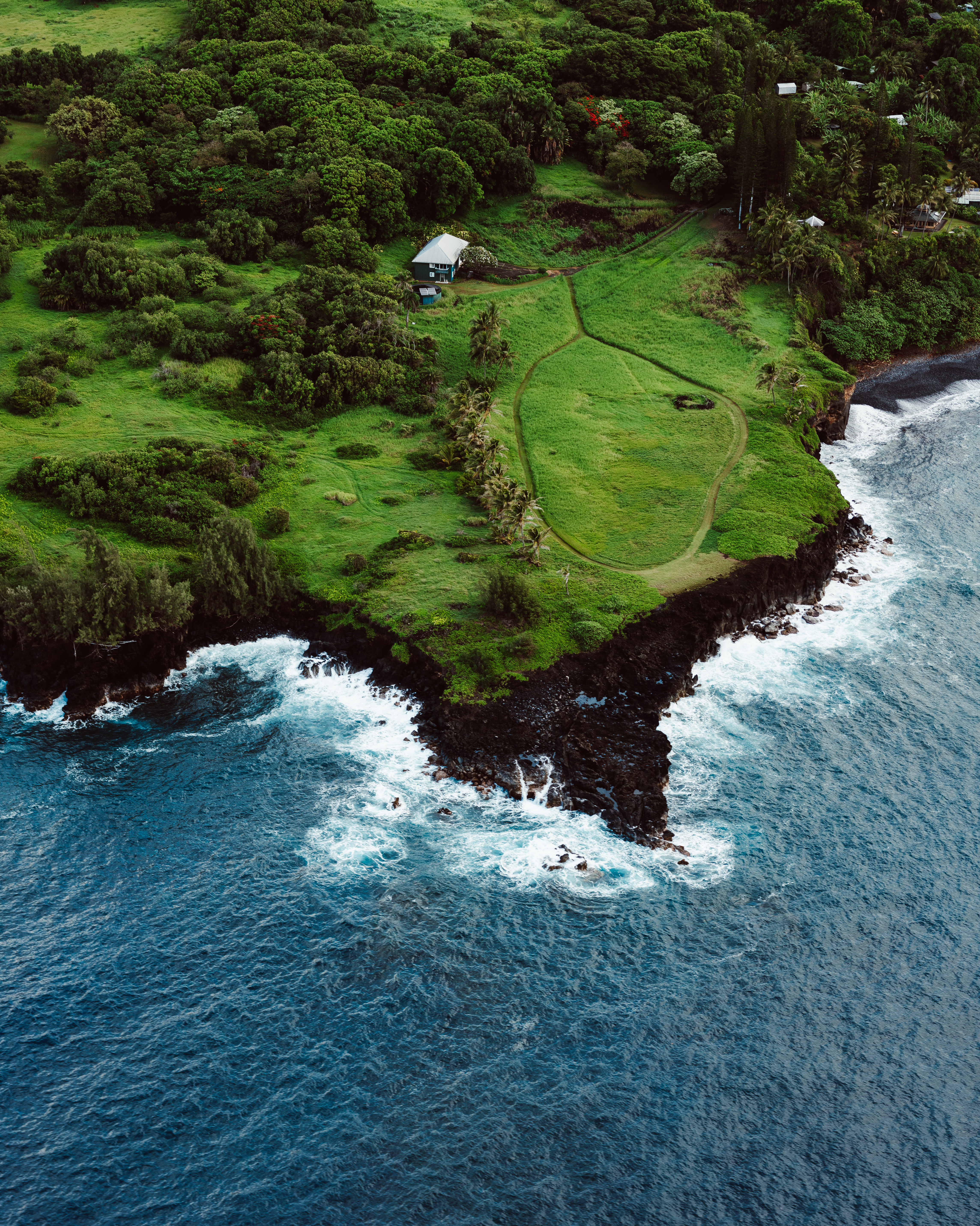 Forest II — Nettleton Road