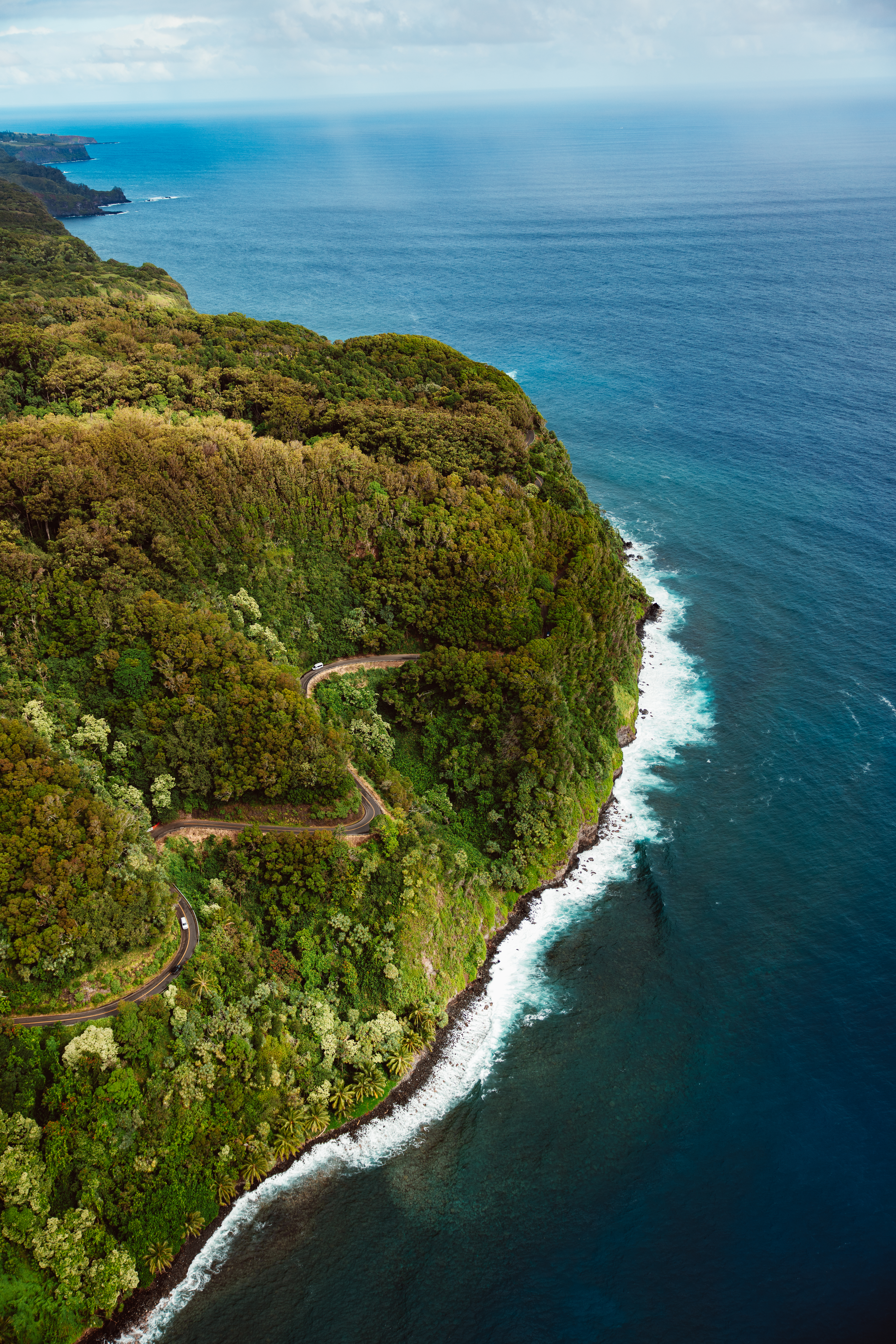 Forest III — Nettleton Road