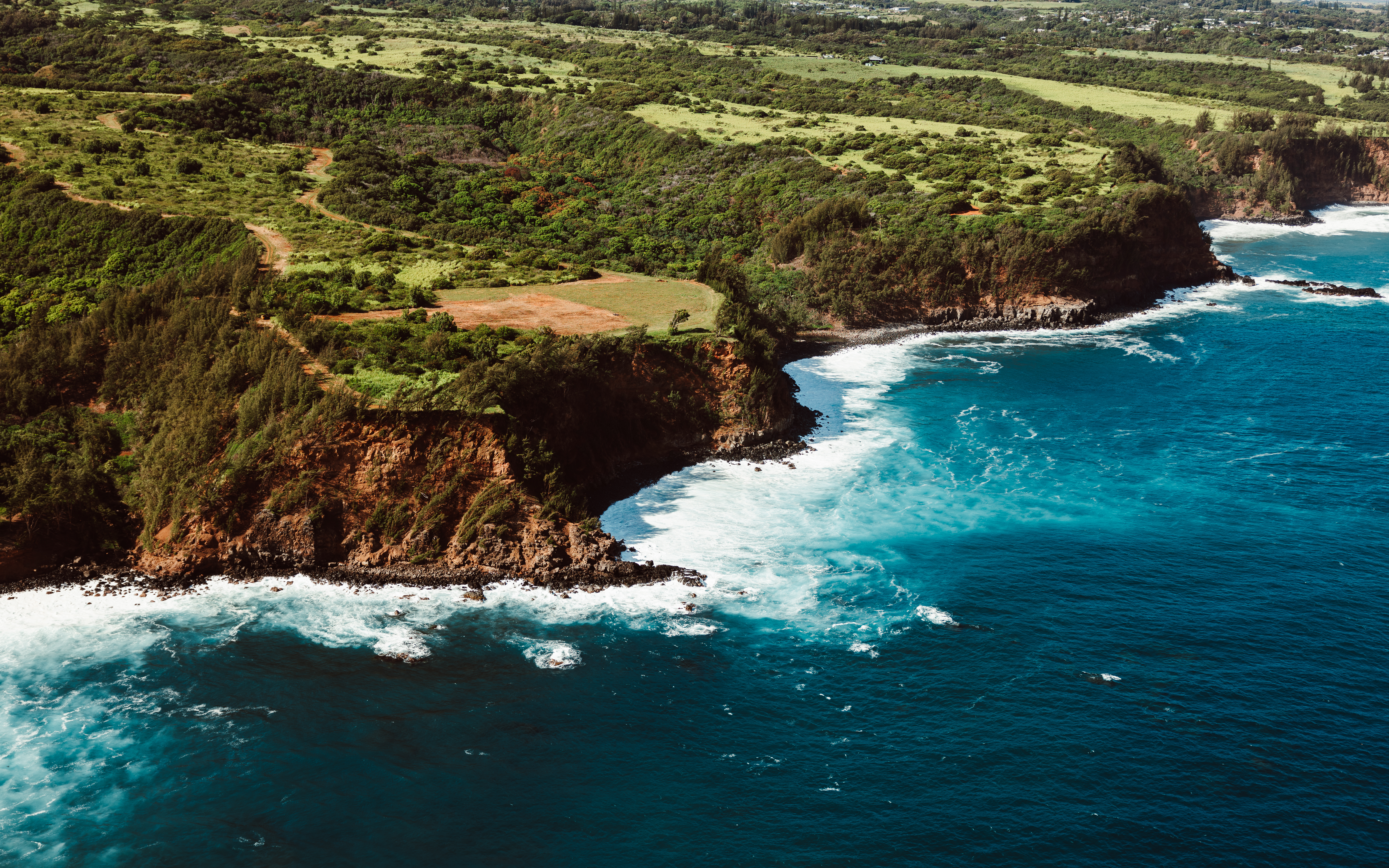 Forest IV — Nettleton Road