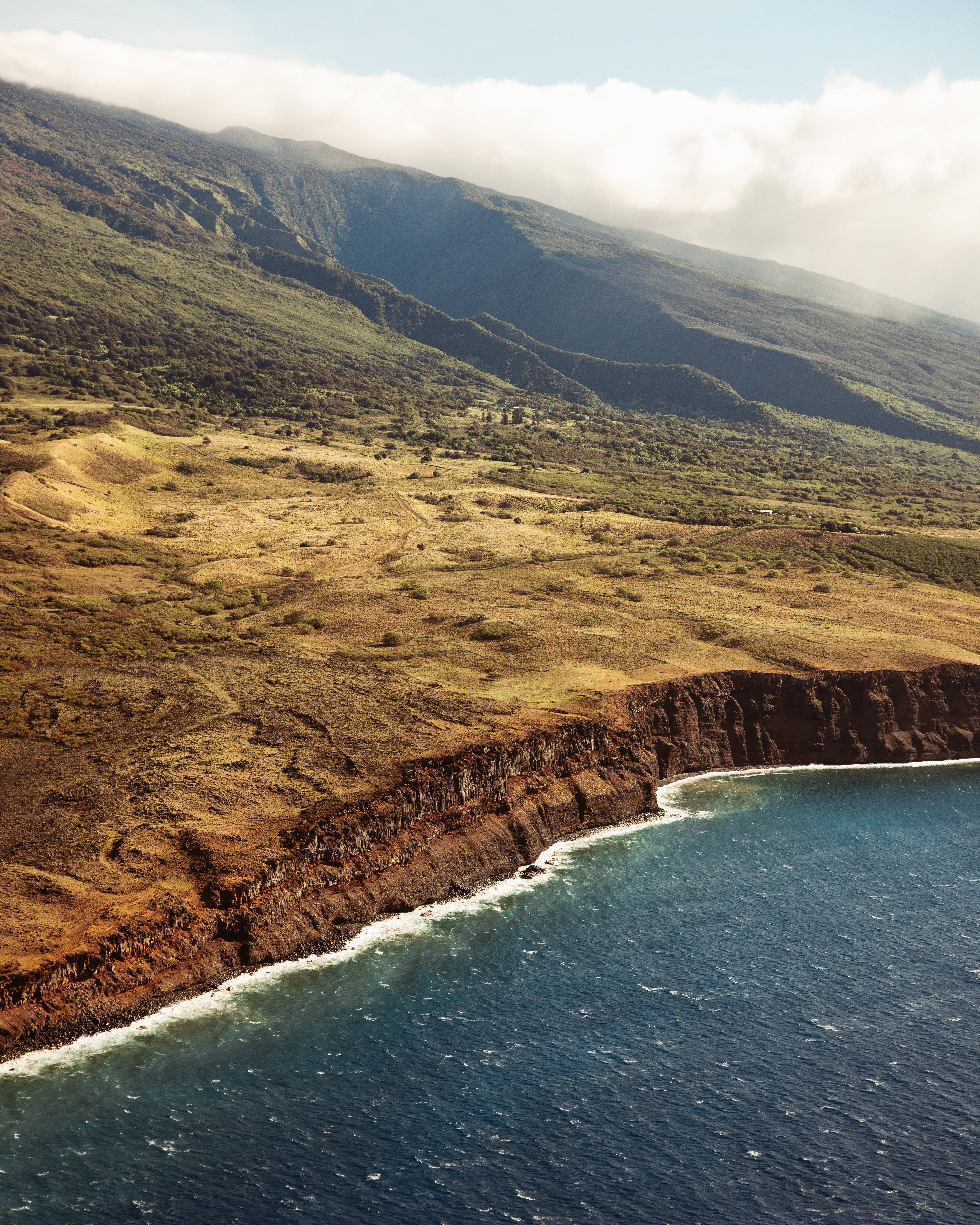 Gold III — Nettleton Road