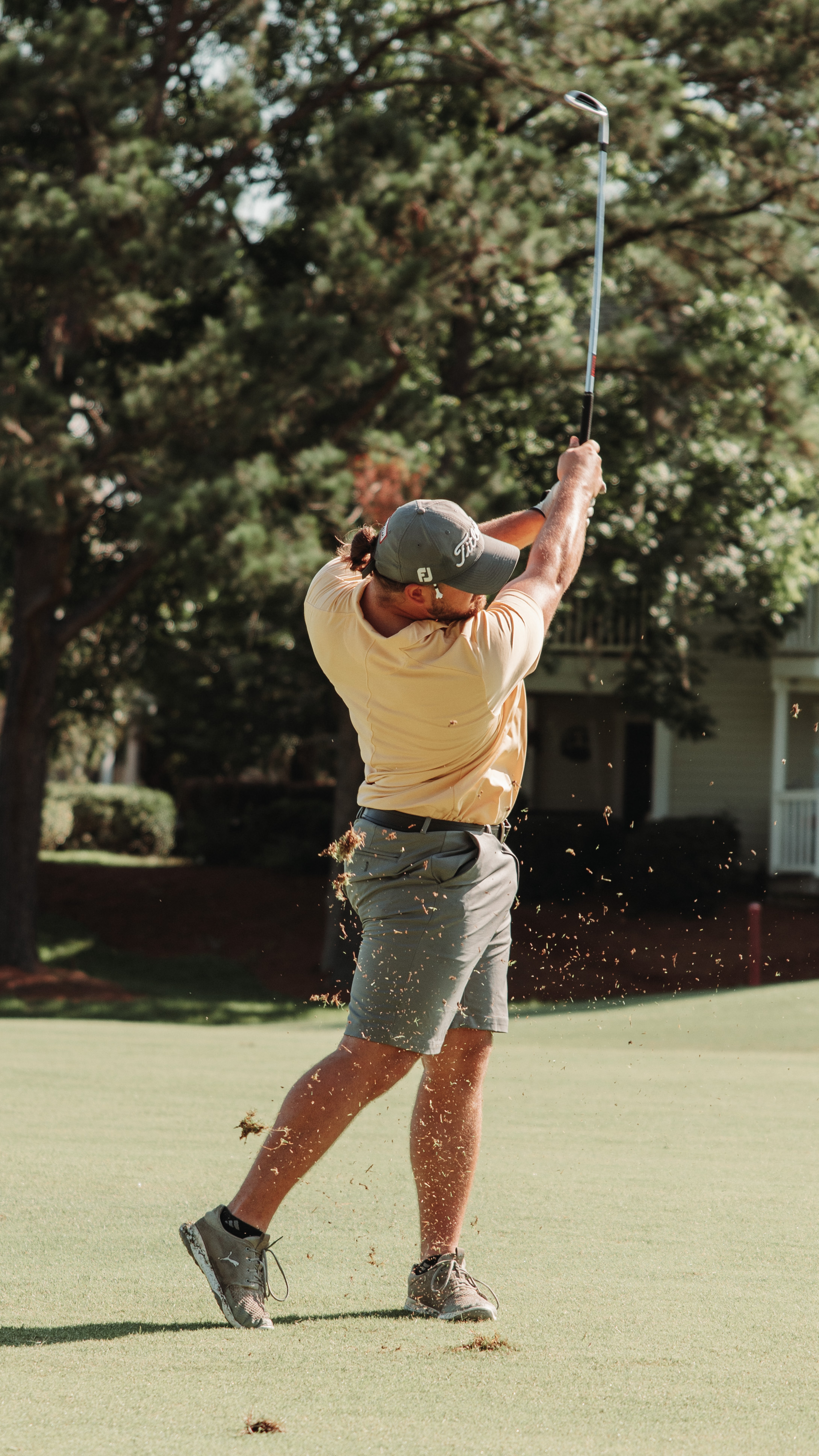 Olive I — Nettleton Road