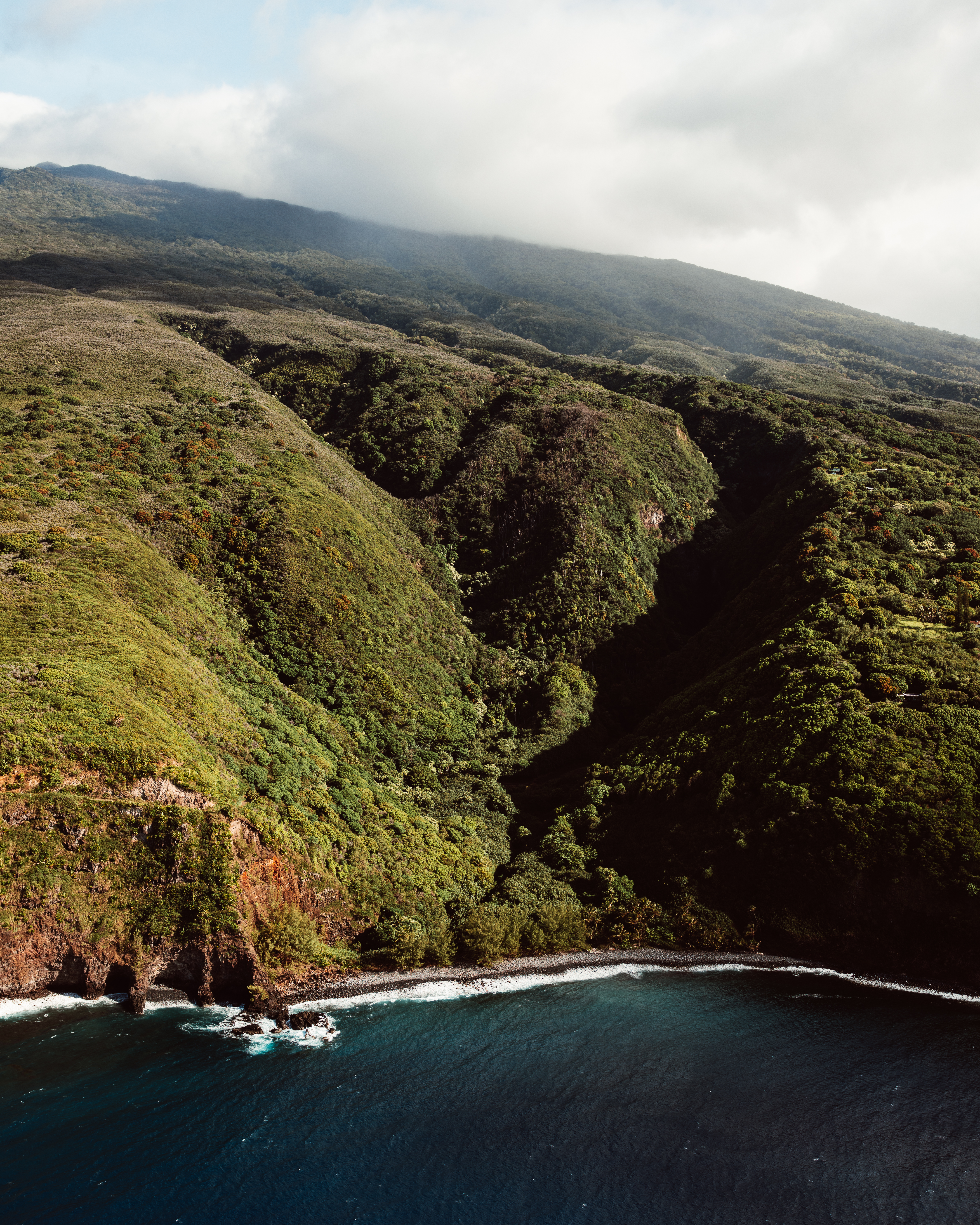 Olive II — Nettleton Road