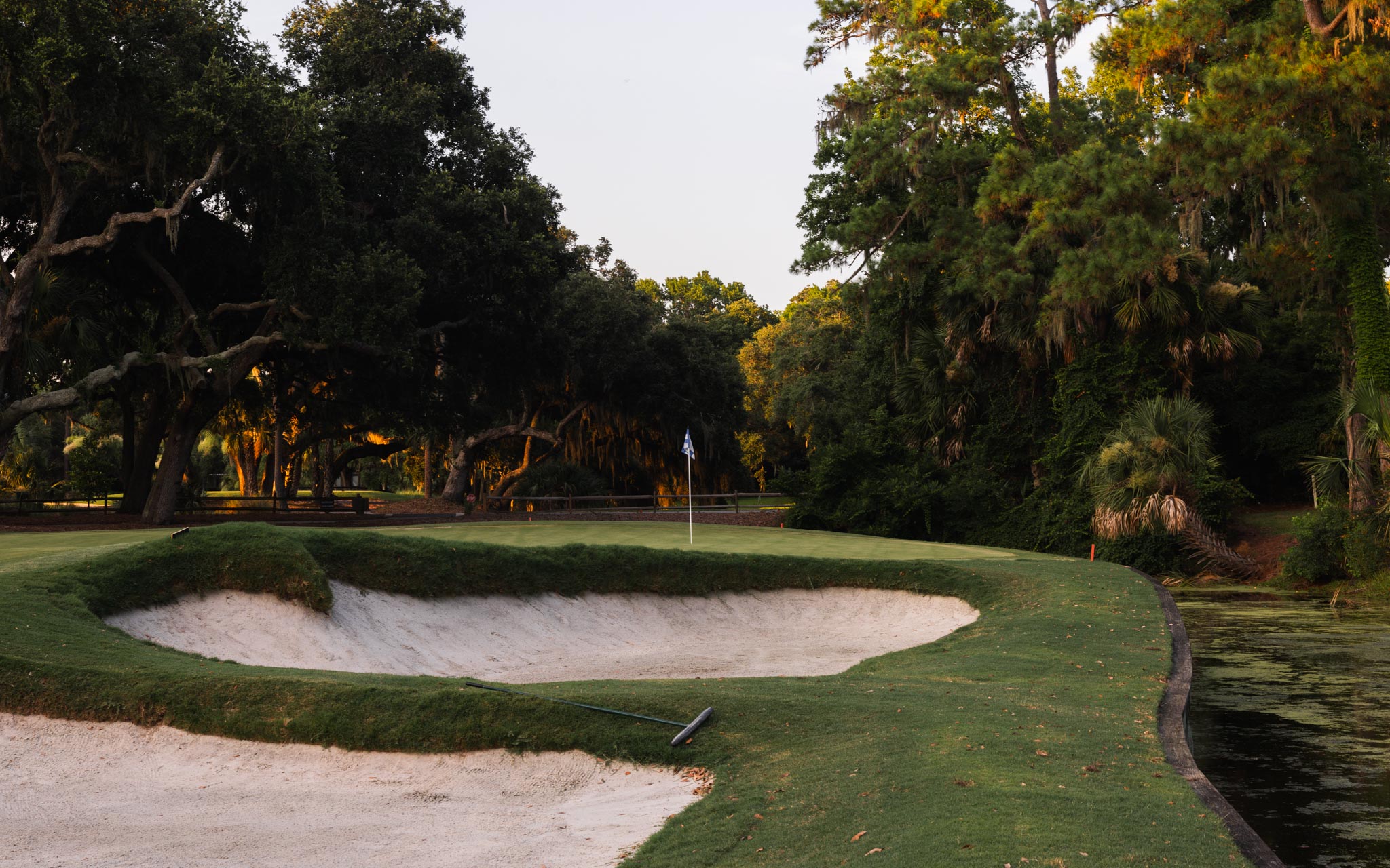 Olive III — Nettleton Road