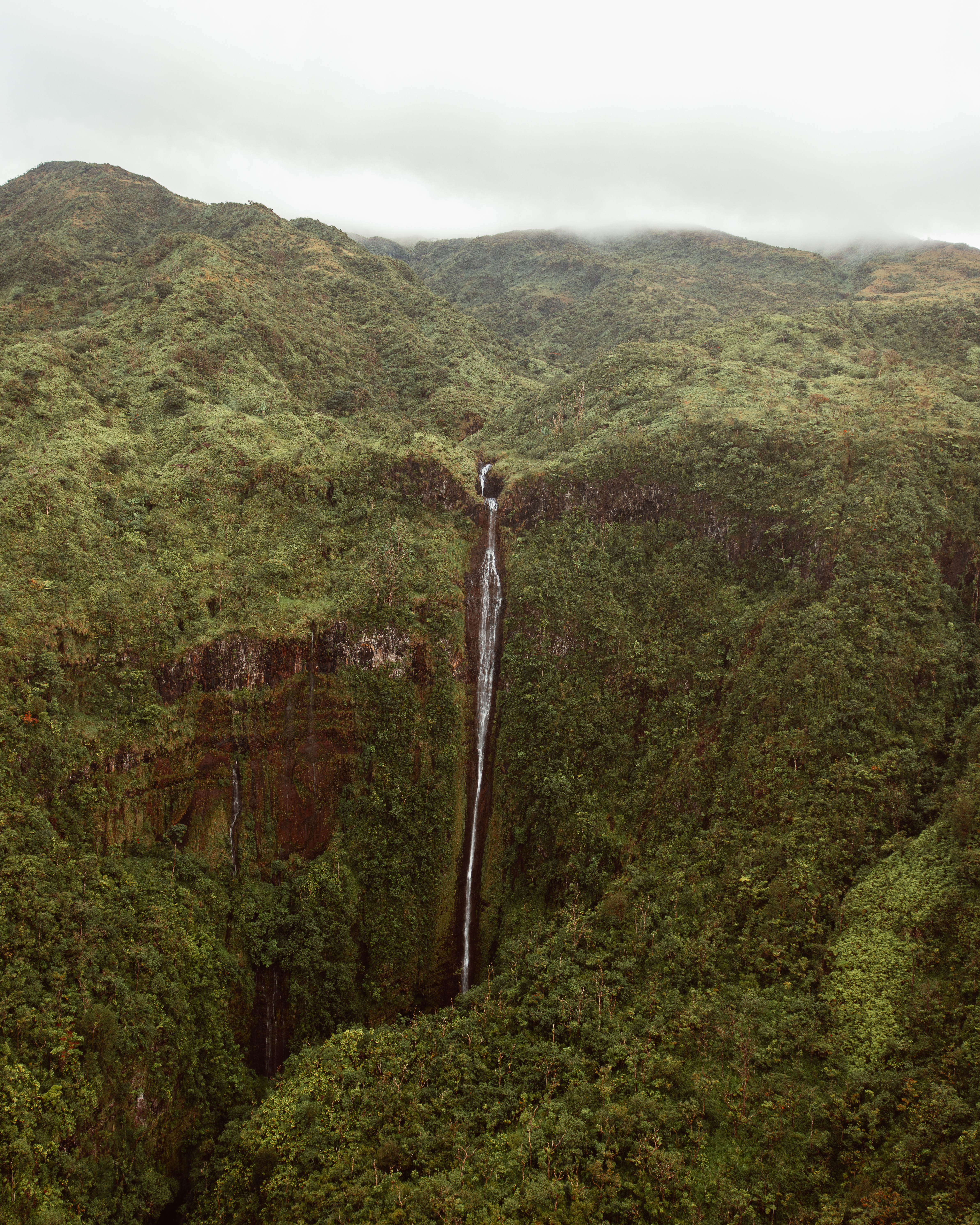 Olive III — Nettleton Road