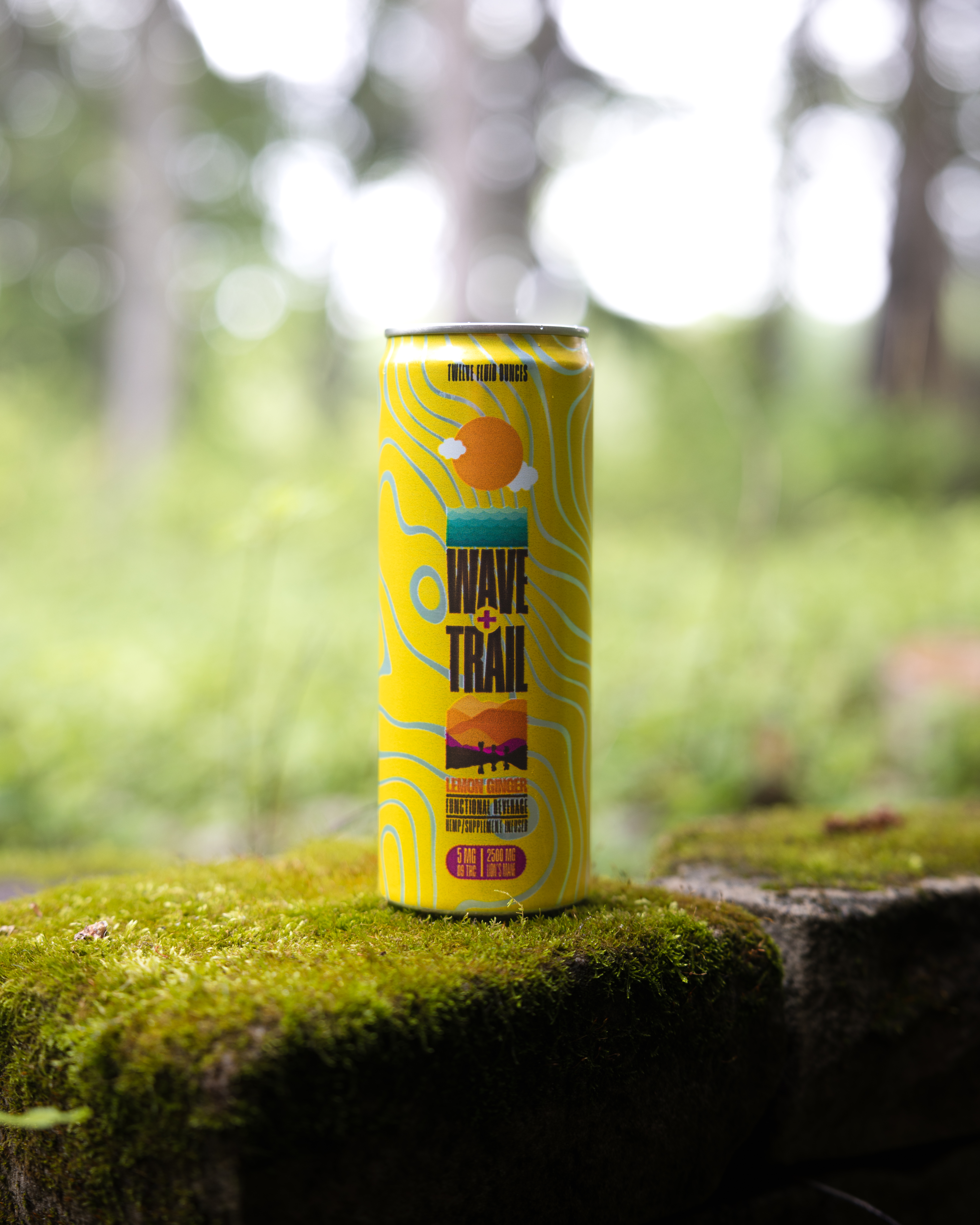 Olive III — Nettleton Road