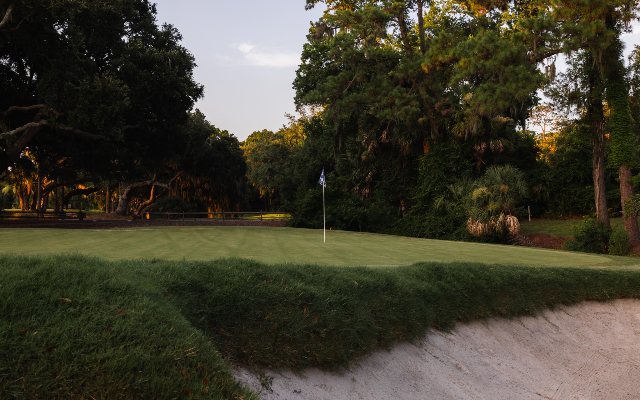 Olive IV — Nettleton Road