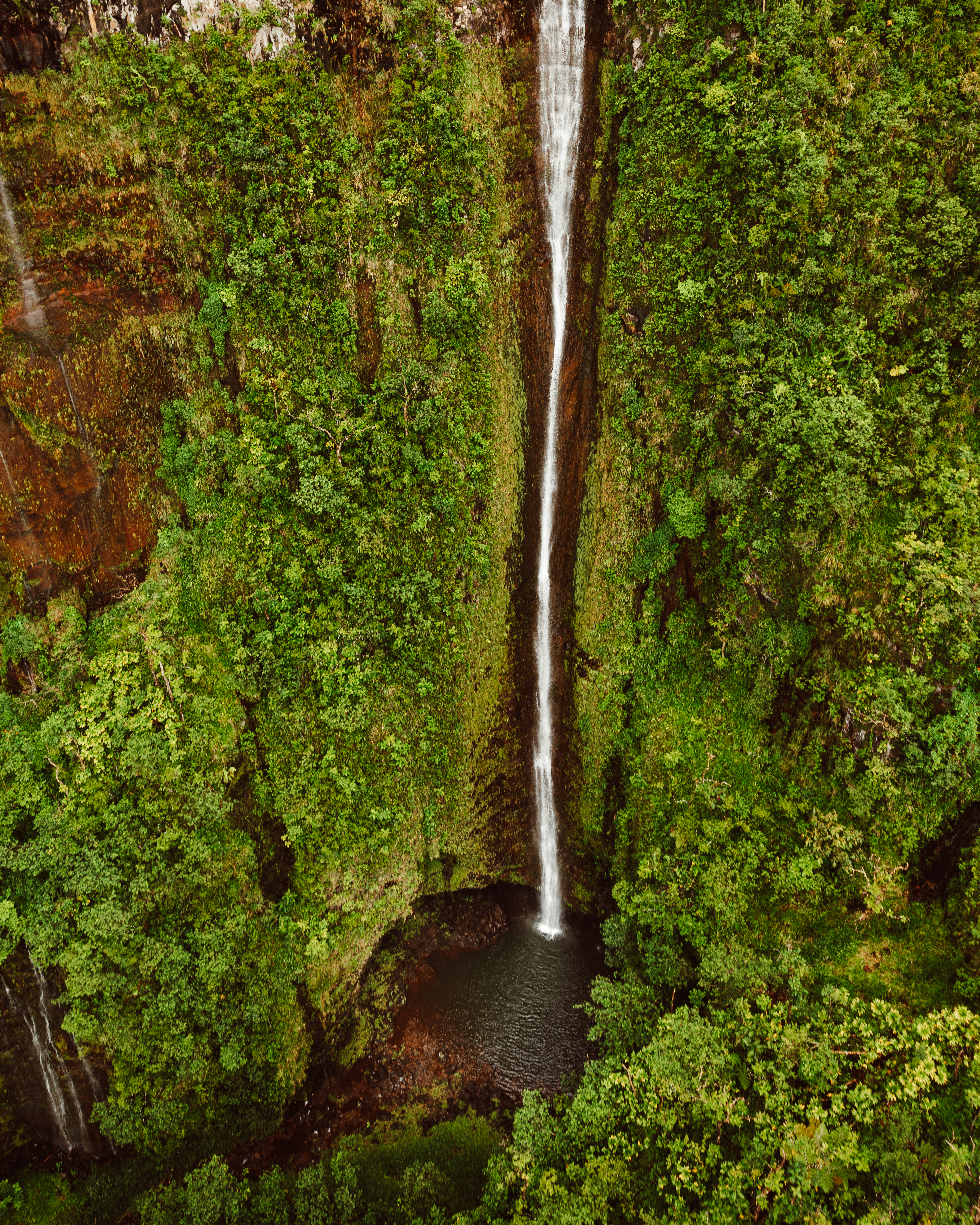 Olive IV — Nettleton Road