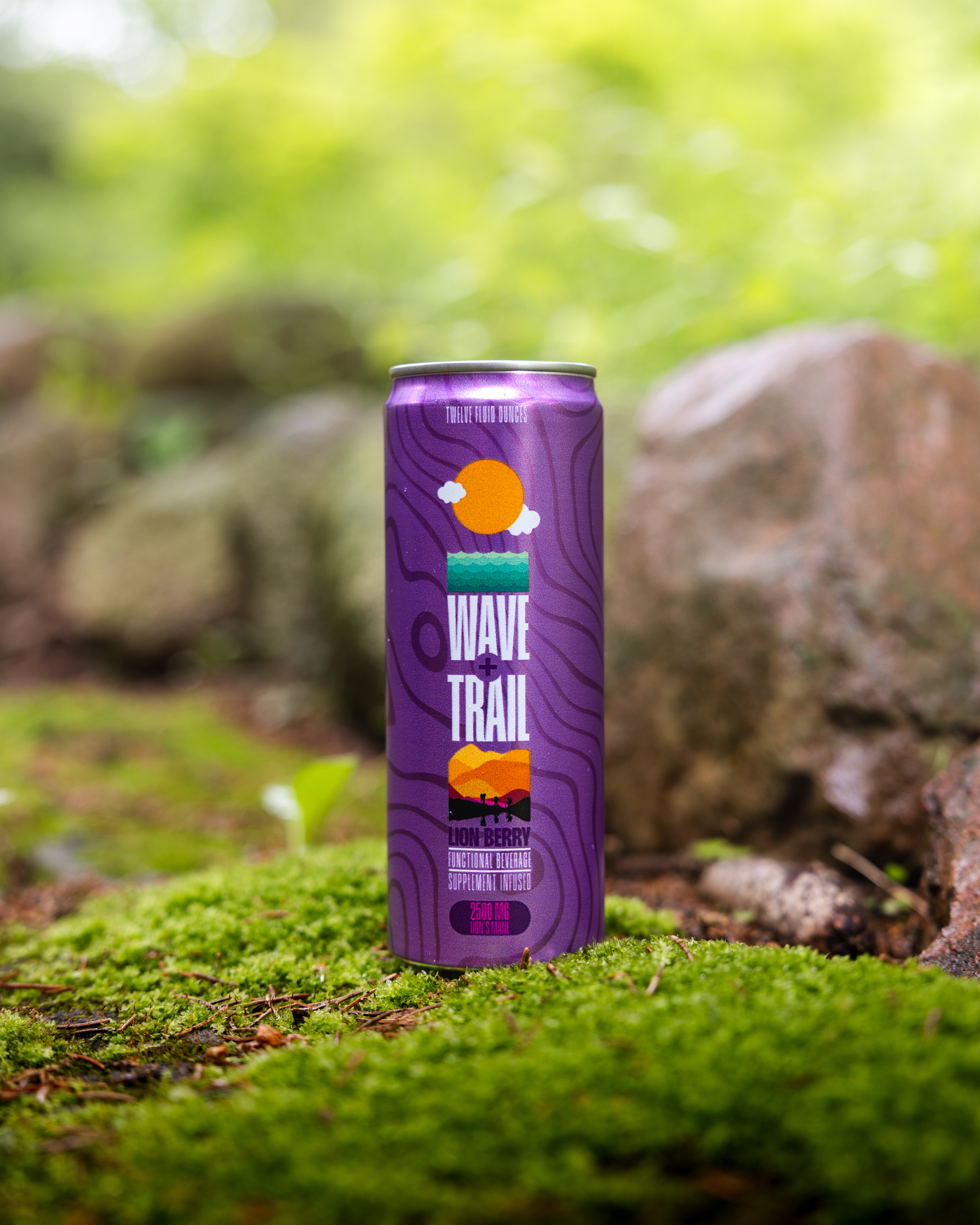 Olive IV — Nettleton Road