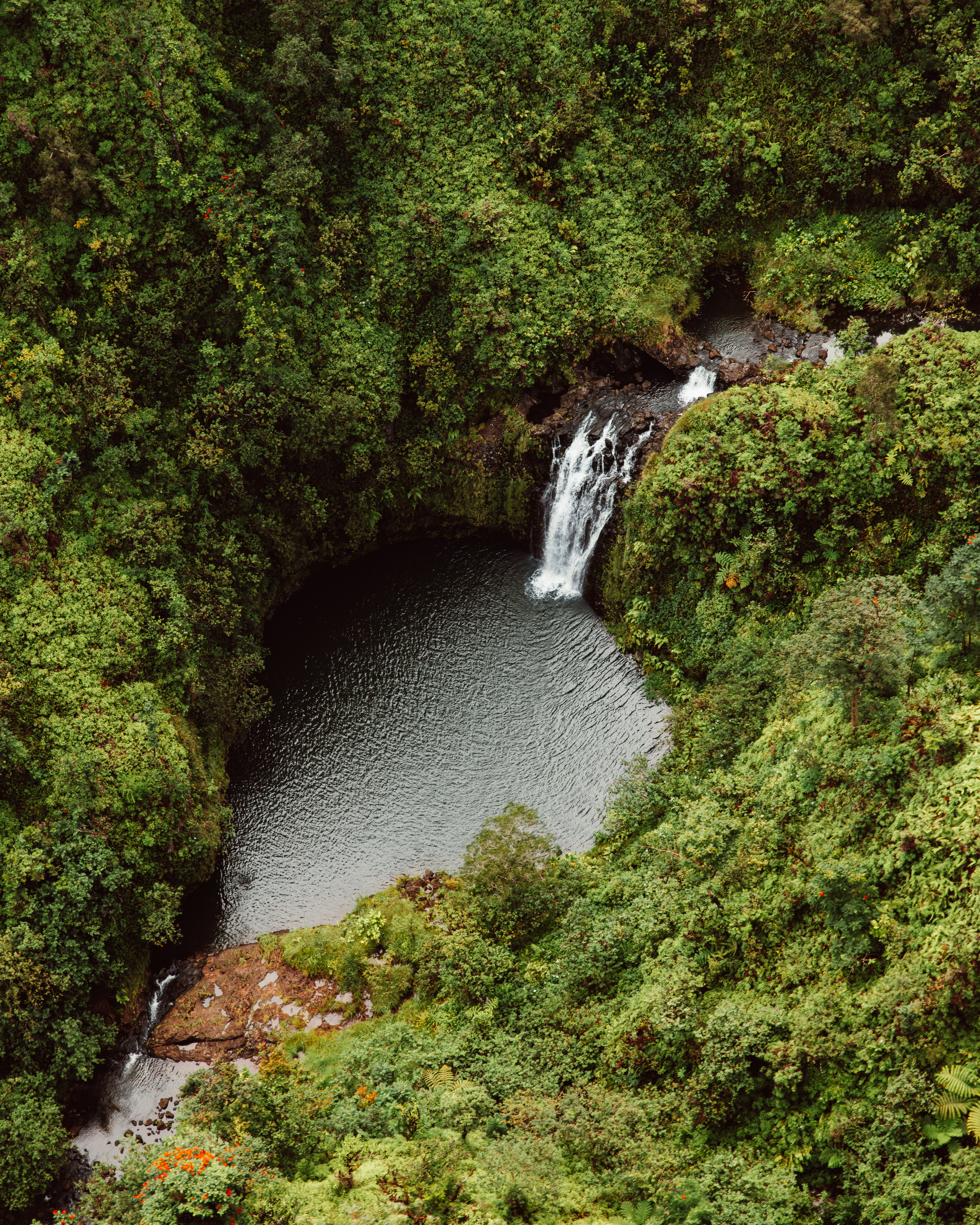 Olive VI — Nettleton Road