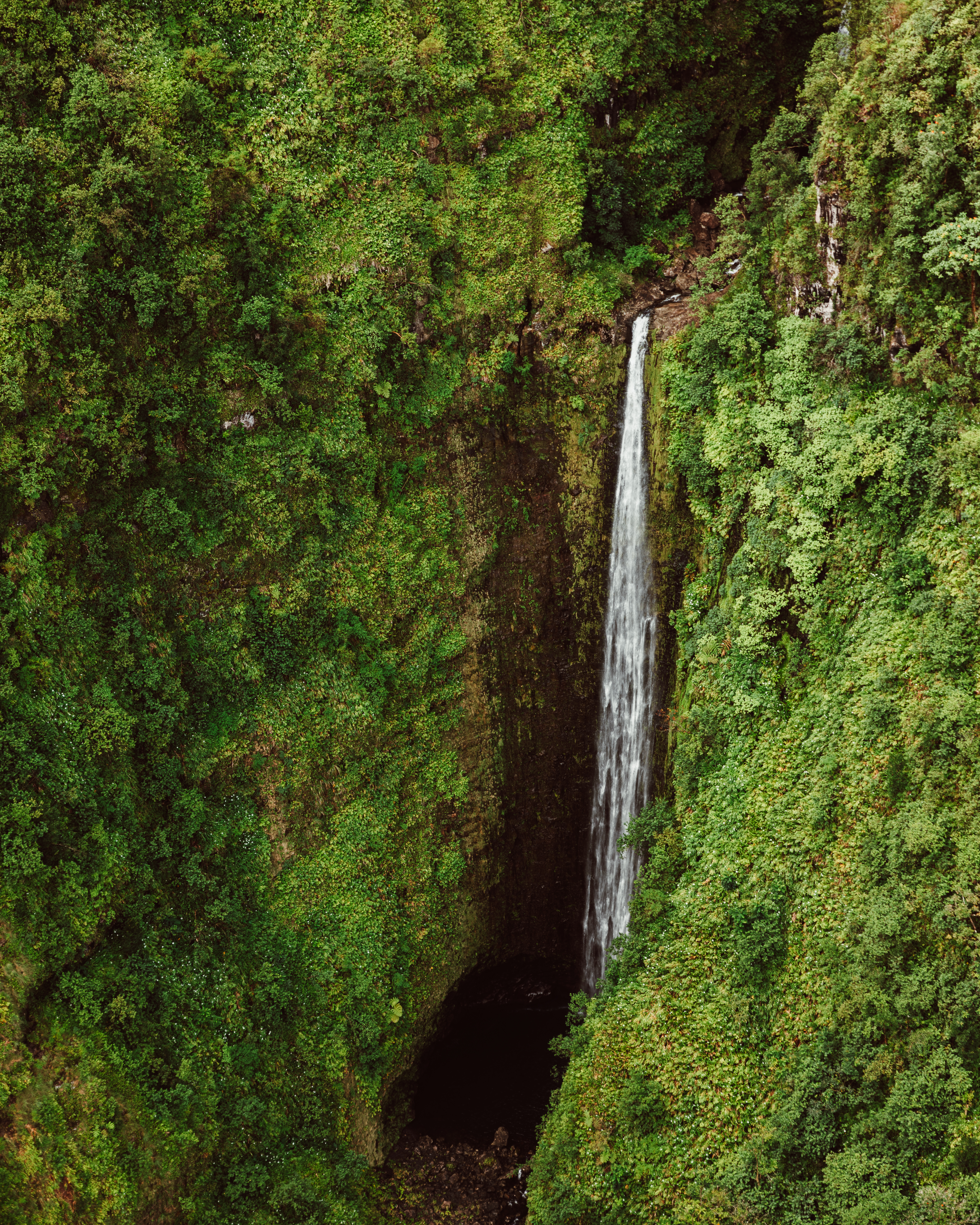 Olive X — Nettleton Road