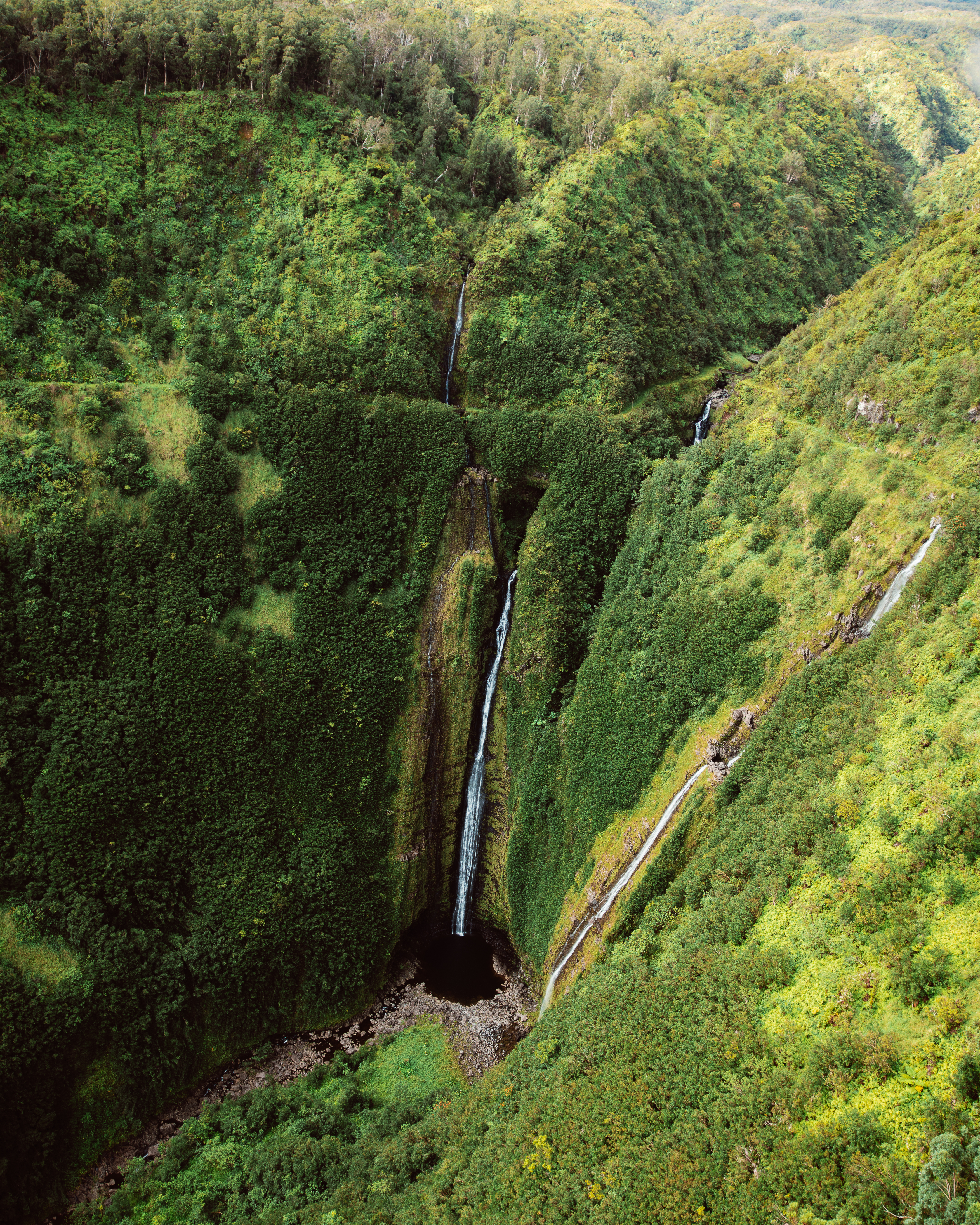 Olive XII — Nettleton Road