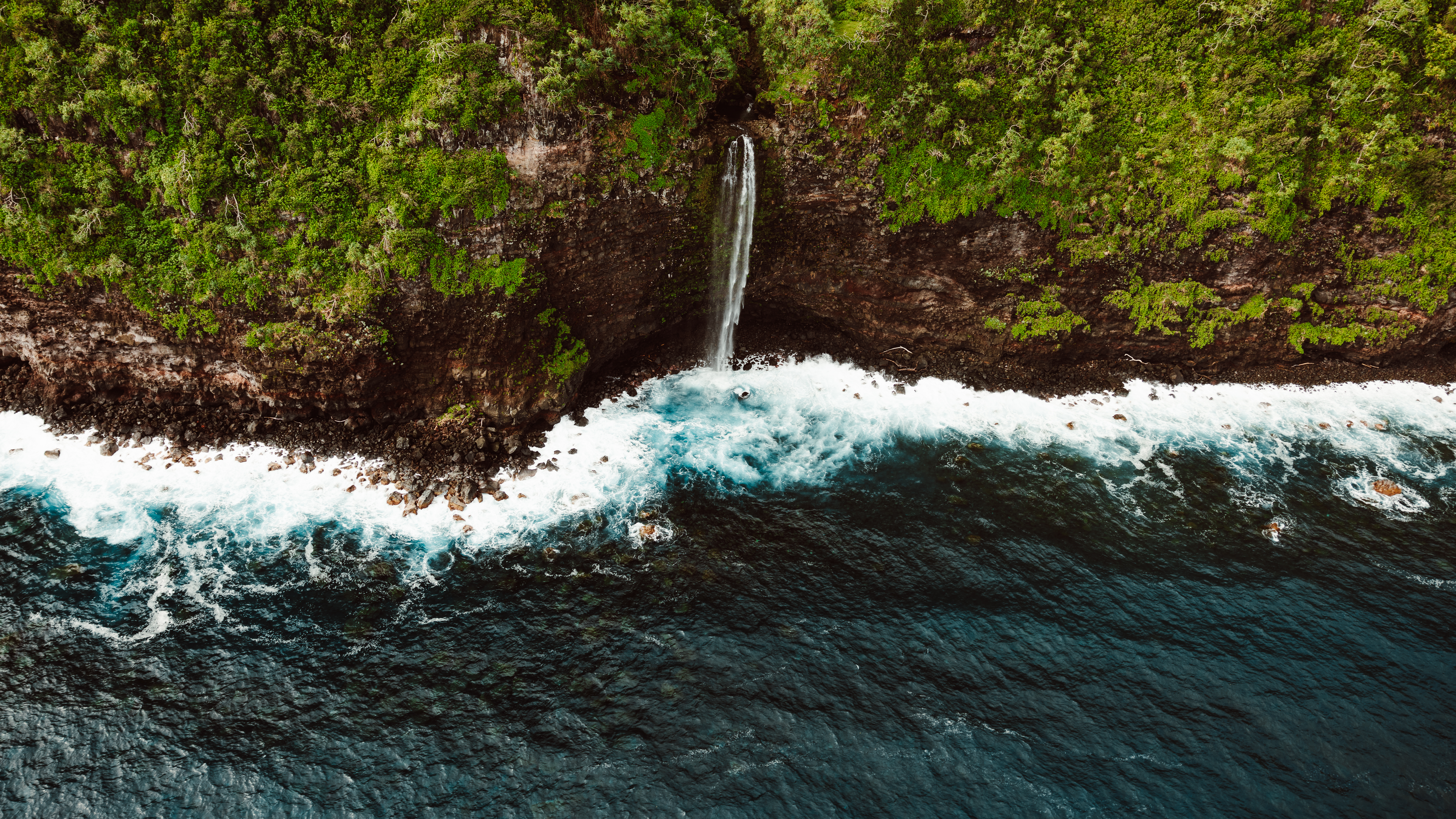 Olive XV — Nettleton Road